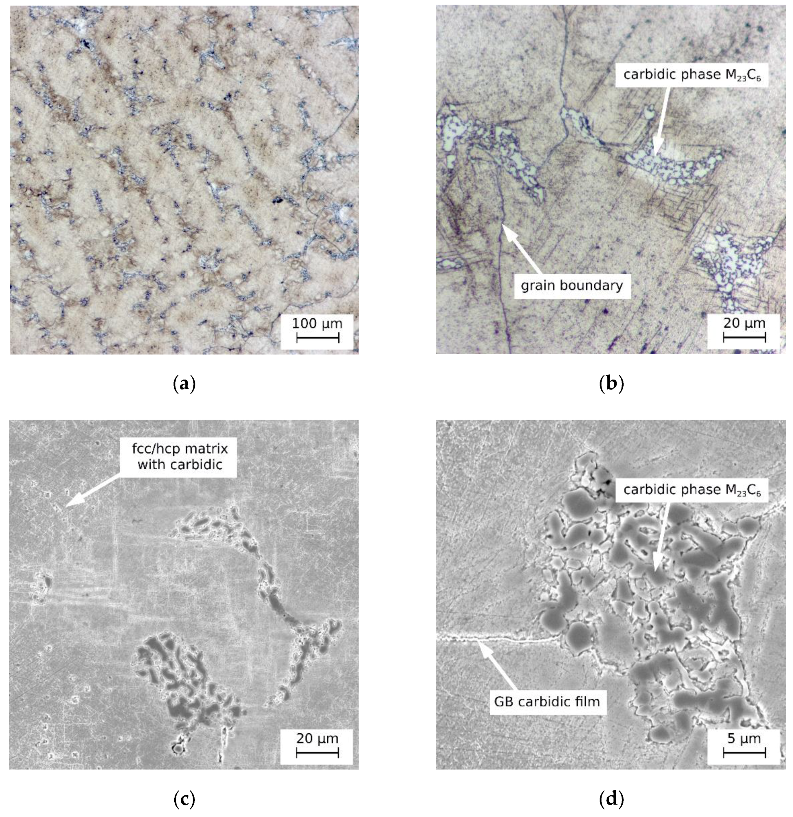 Metals 11 00687 g012 Metals 11 00687 g012
