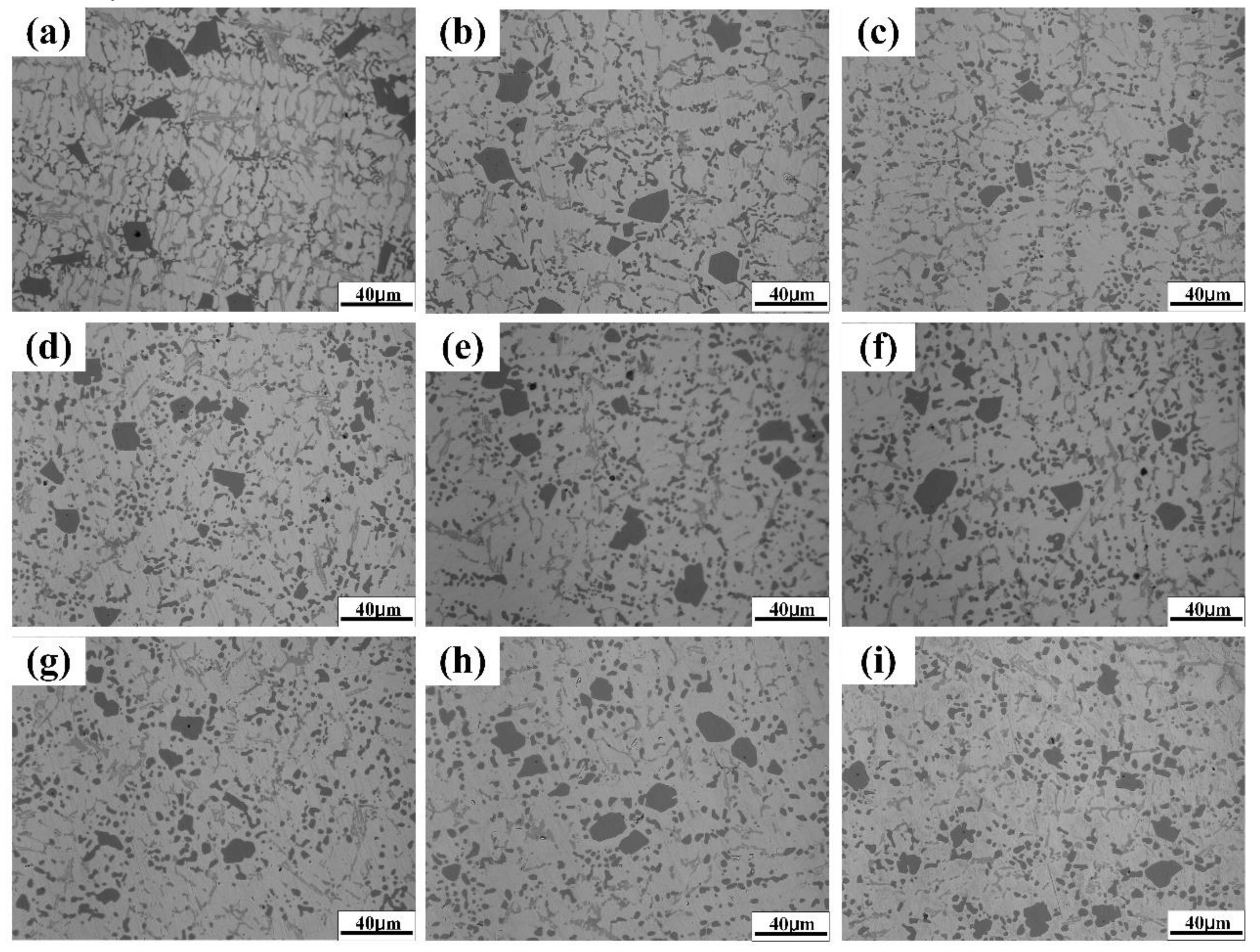 Metals 11 00688 g005