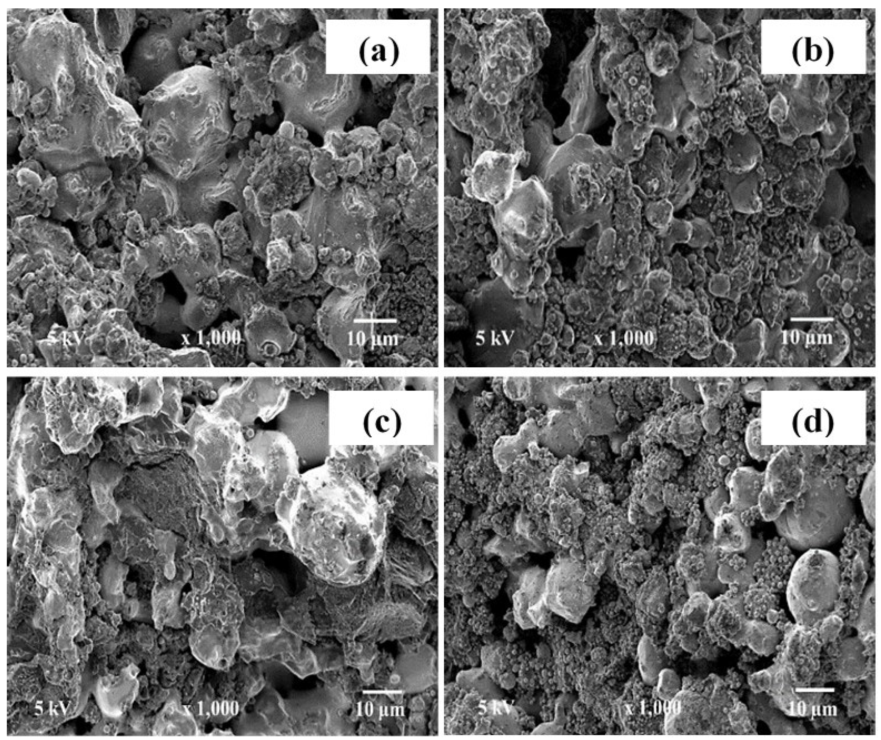 Metals 11 00694 g005