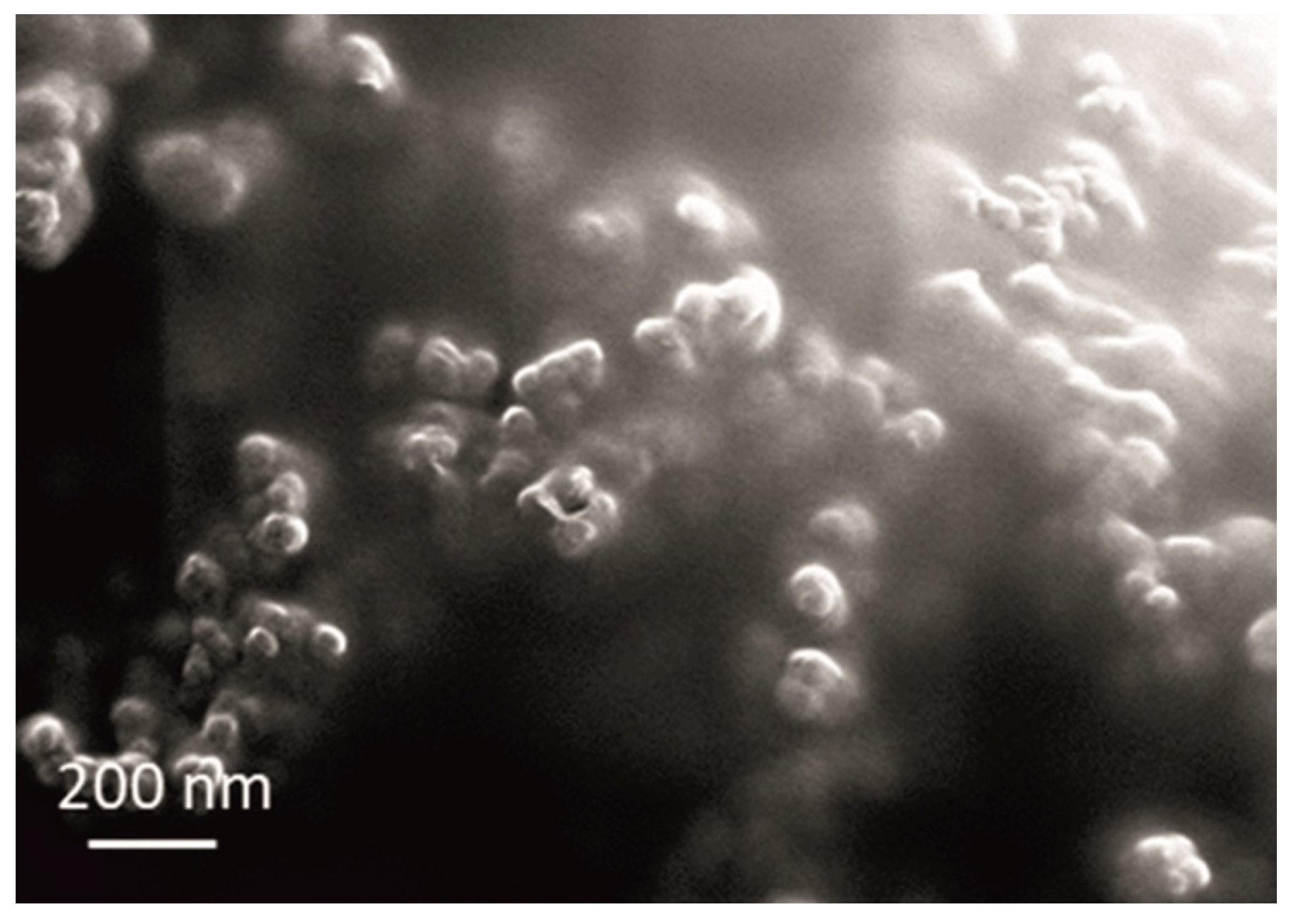 Metals 11 00704 g004