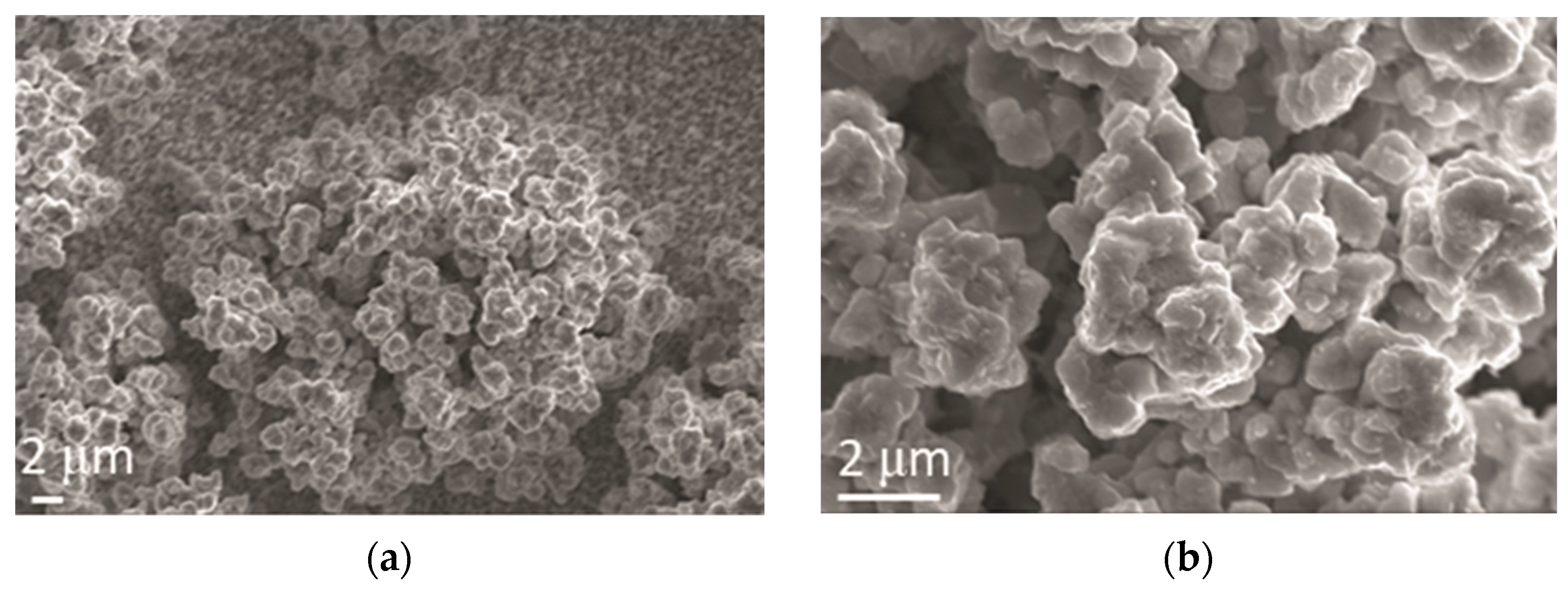 Metals 11 00704 g005