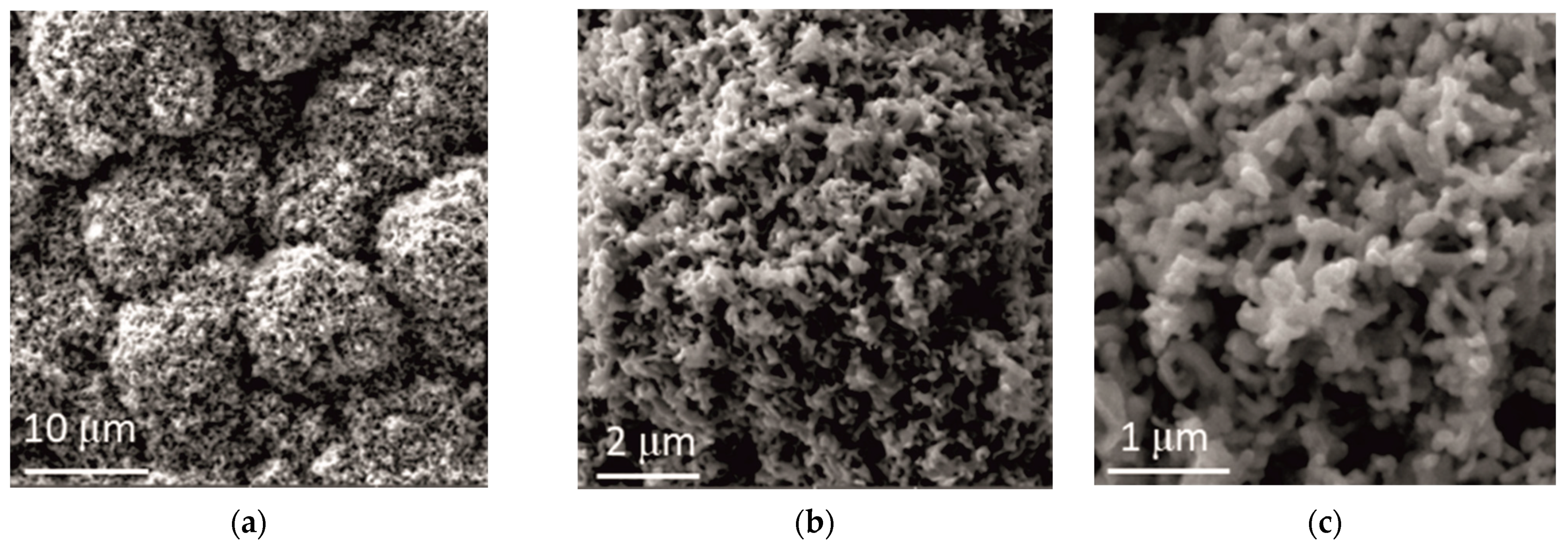 Metals 11 00704 g007