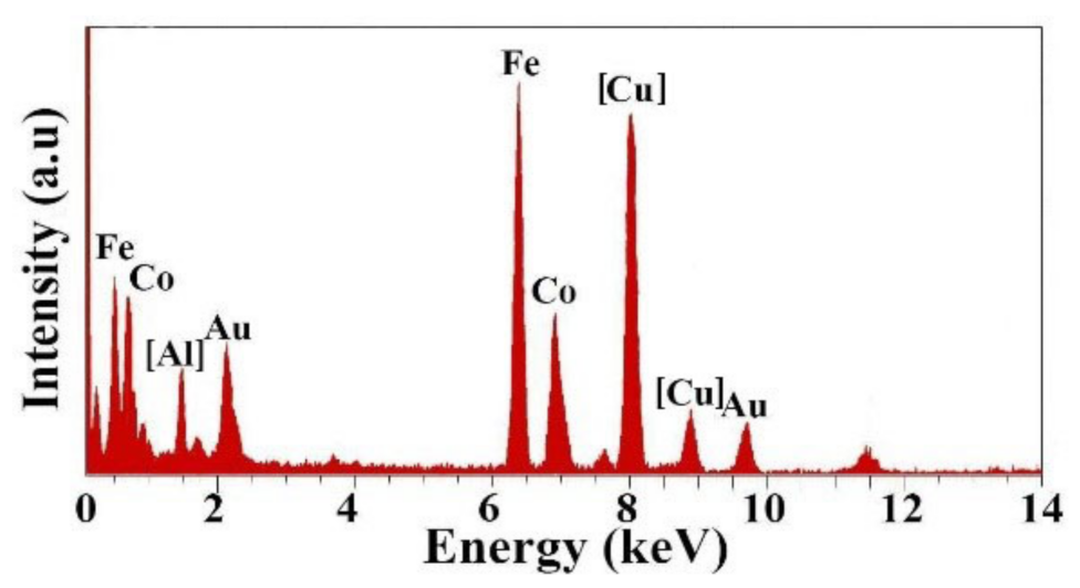 Metals 11 00705 g004
