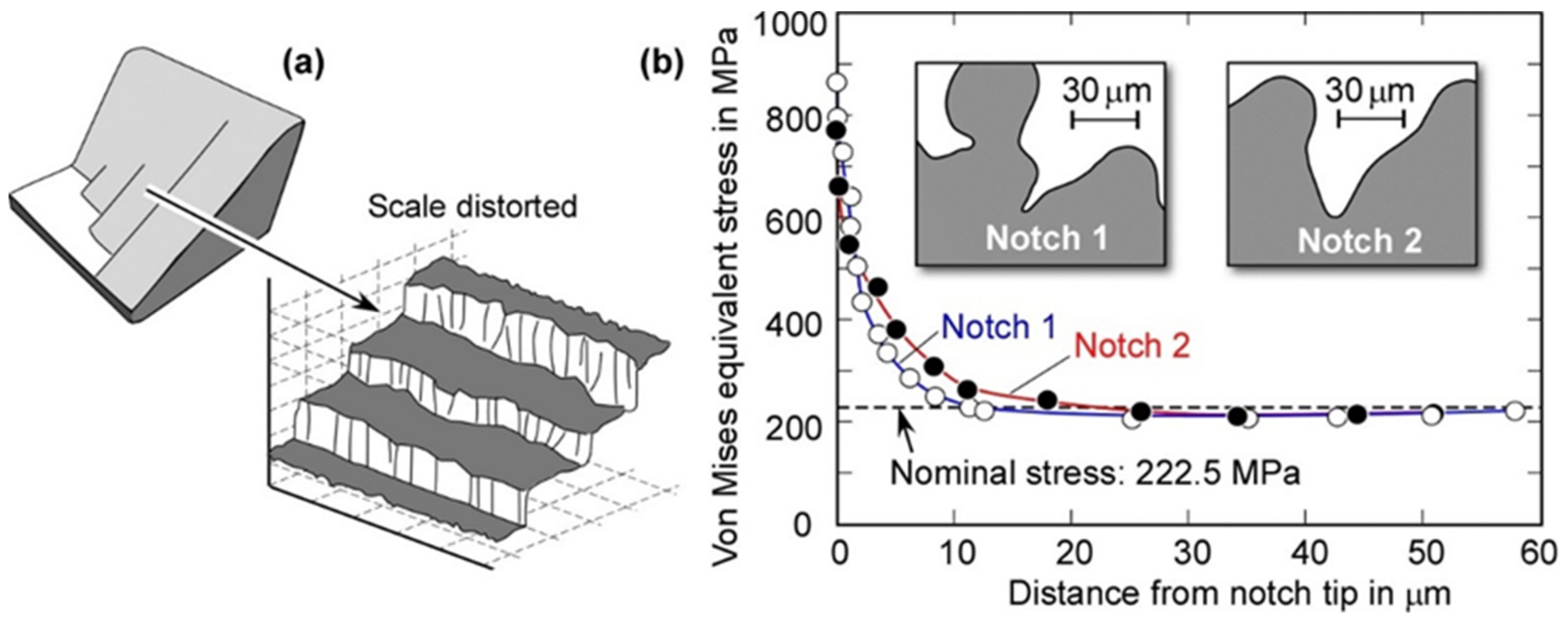 Metals 11 00709 g004
