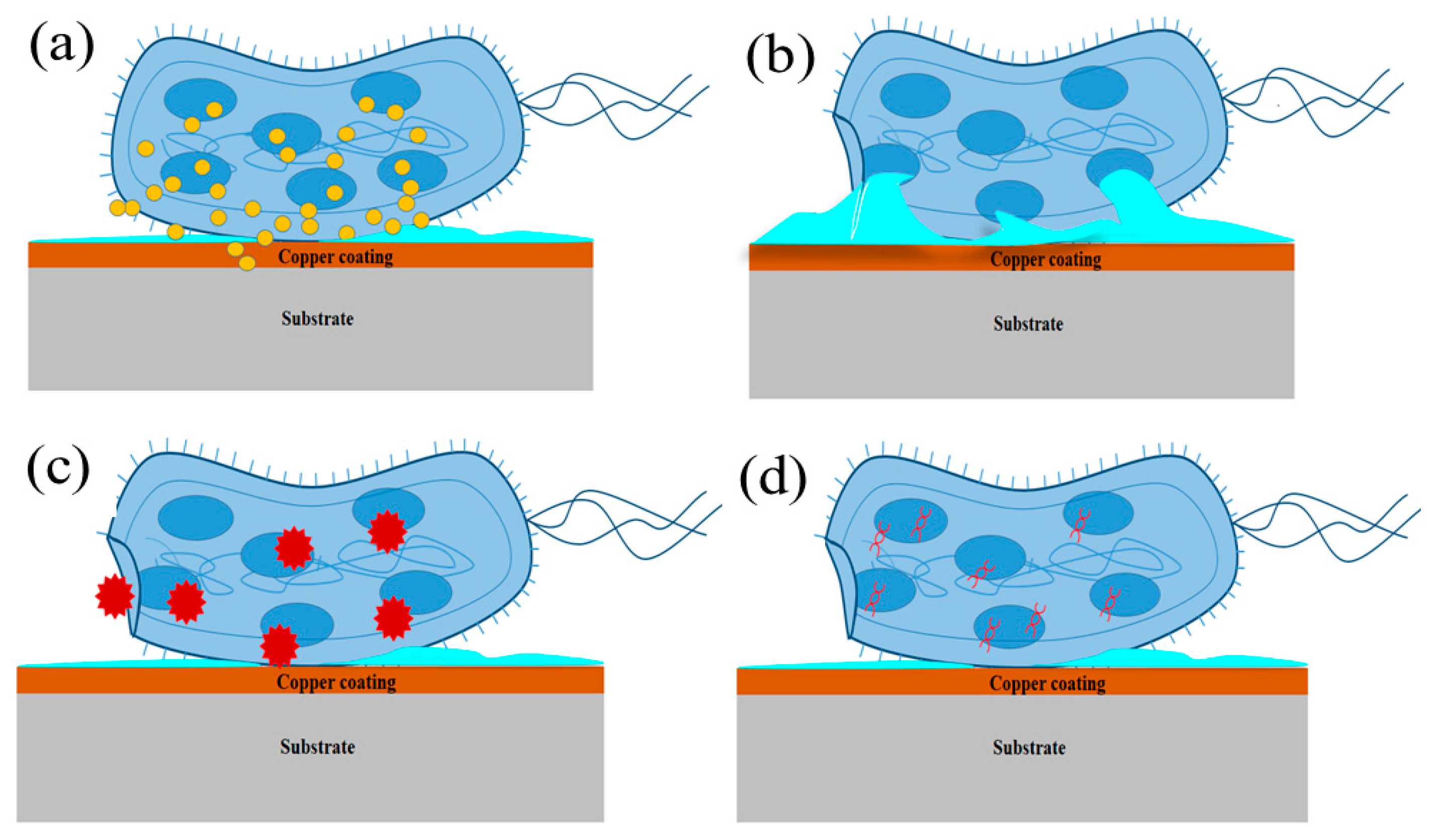 Metals 11 00711 g002 Metals 11 00711 g002