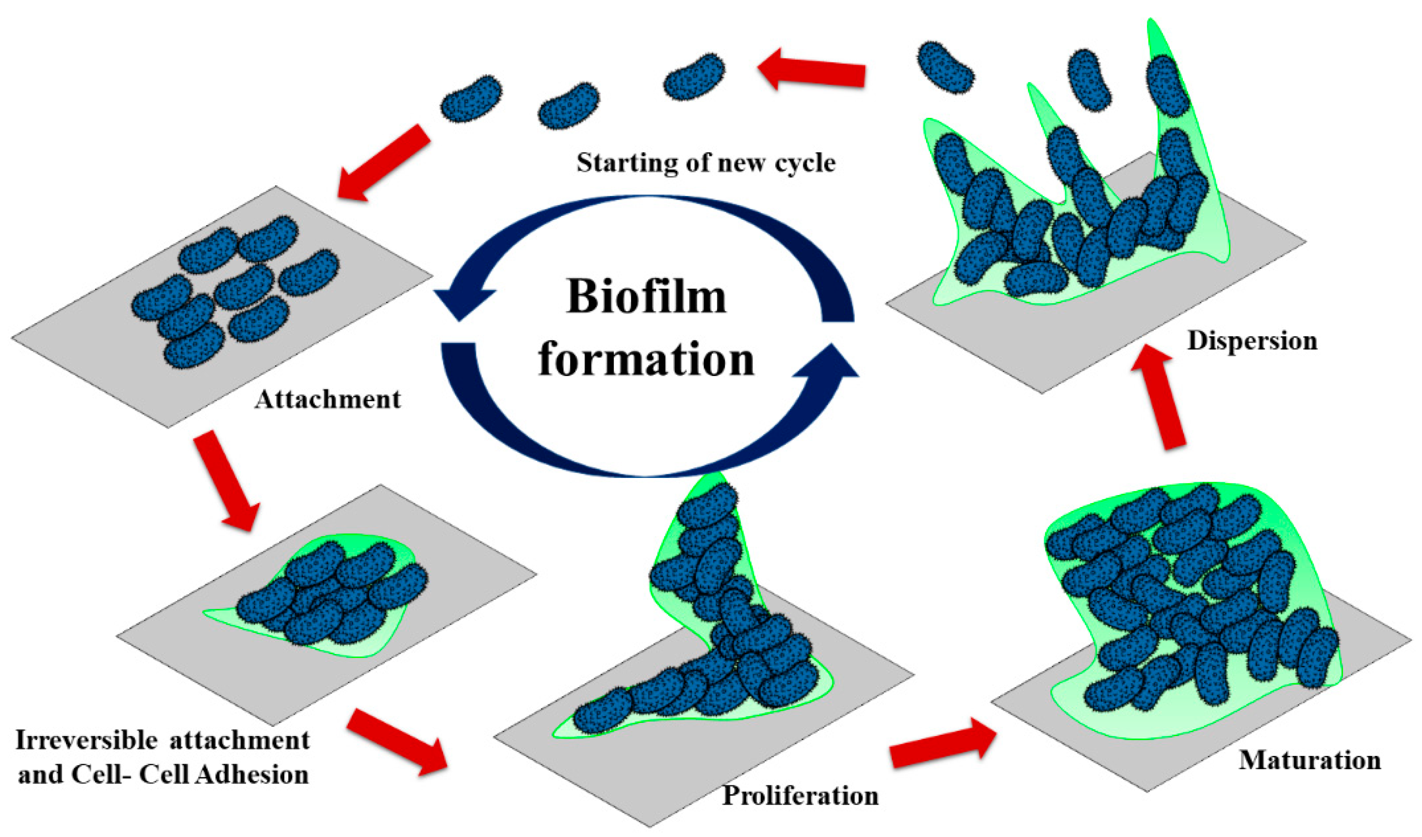 Metals 11 00711 g003 Metals 11 00711 g003