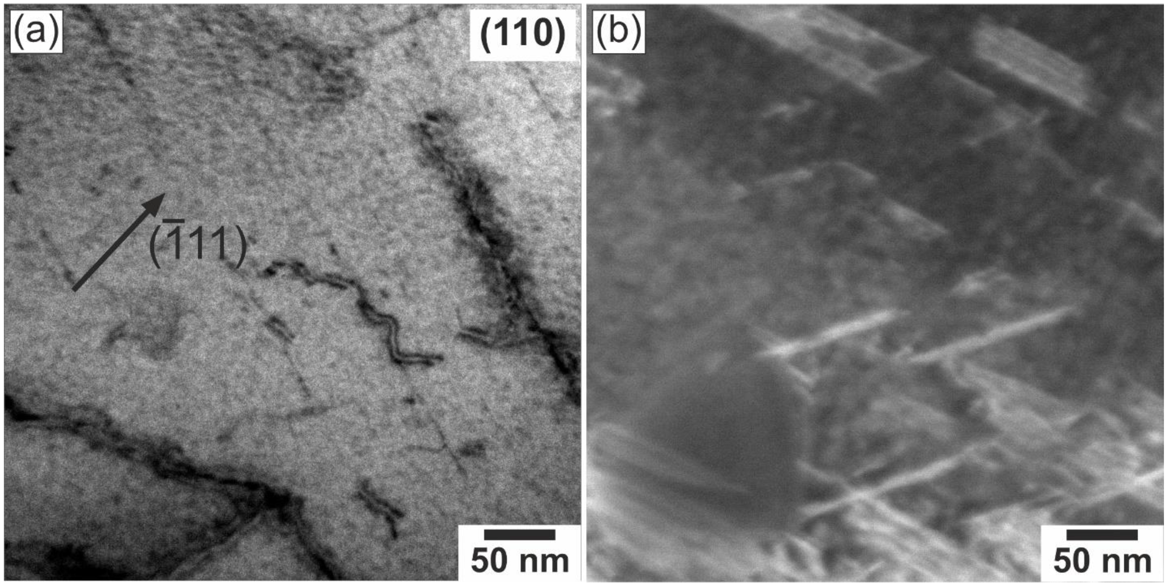 Metals 11 00719 g008