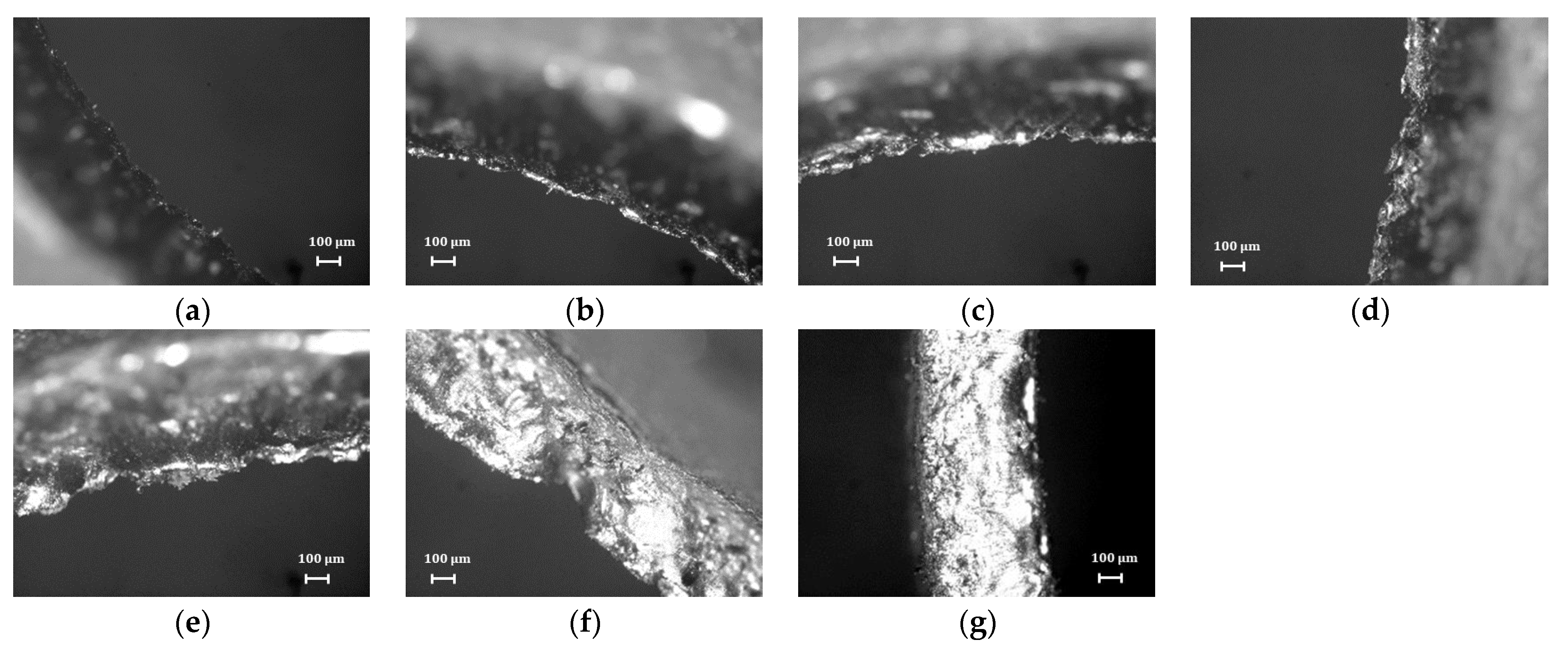 Metals 11 00721 g010 Metals 11 00721 g010