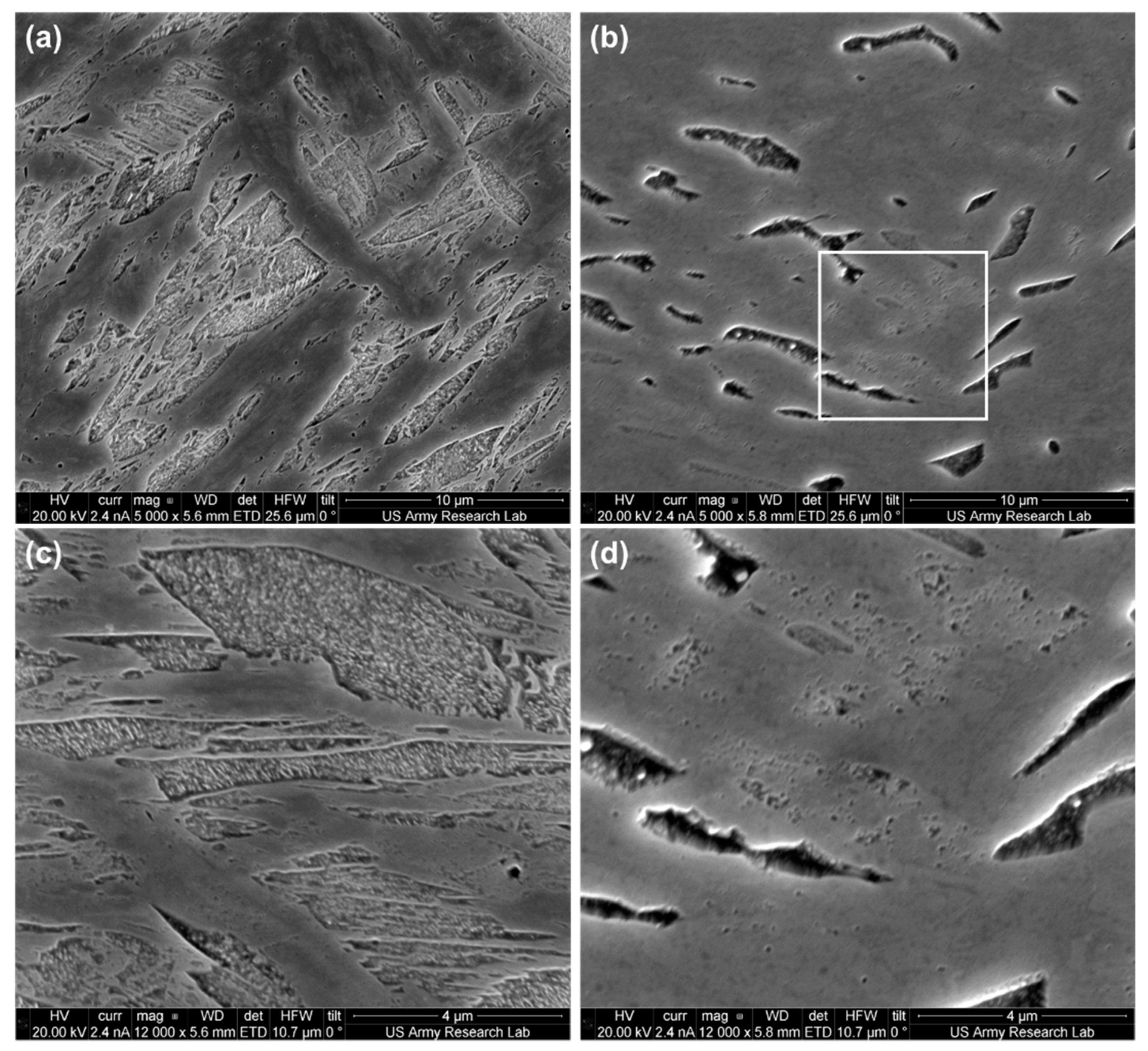 Metals 11 00723 g007