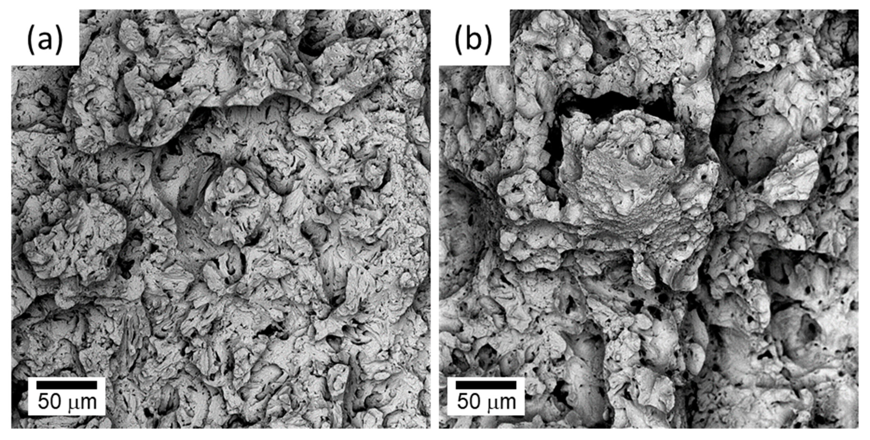 Metals 11 00723 g010