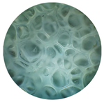 Metals 11 00725 i001 Metals 11 00725 i001