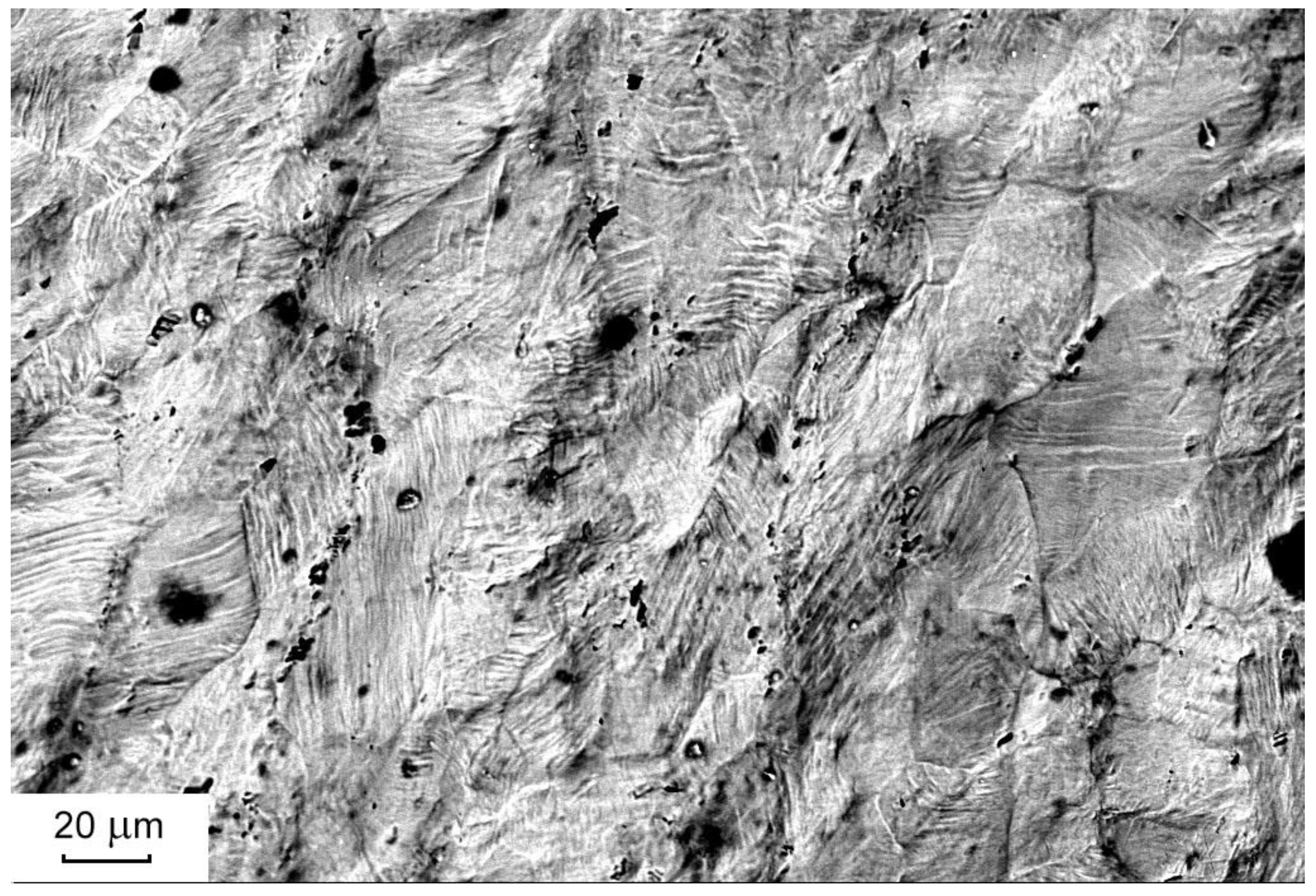 Metals 11 00741 g006