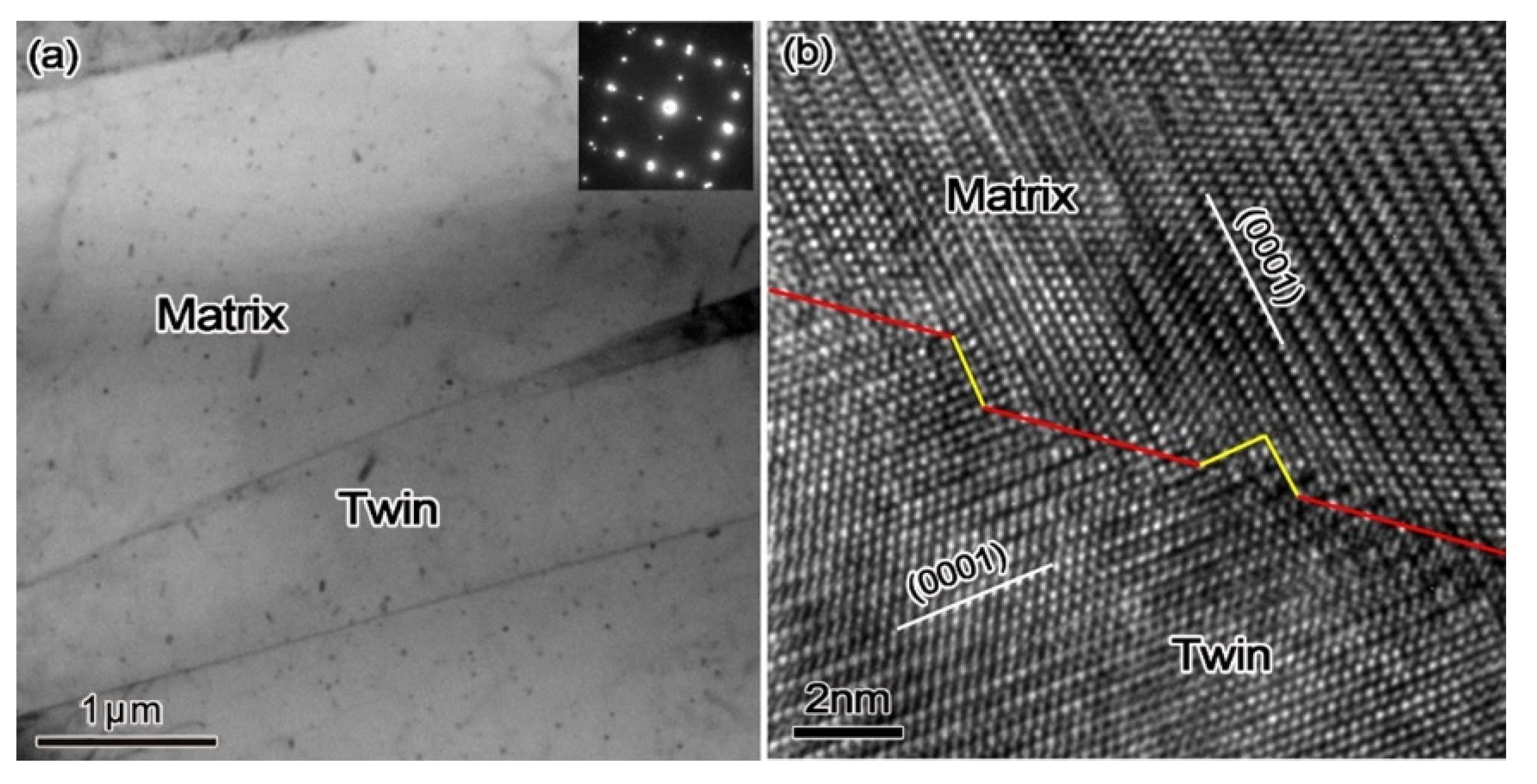 Metals 11 00745 g005