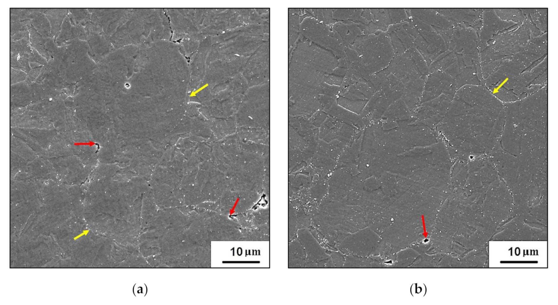 Metals 11 00748 g005