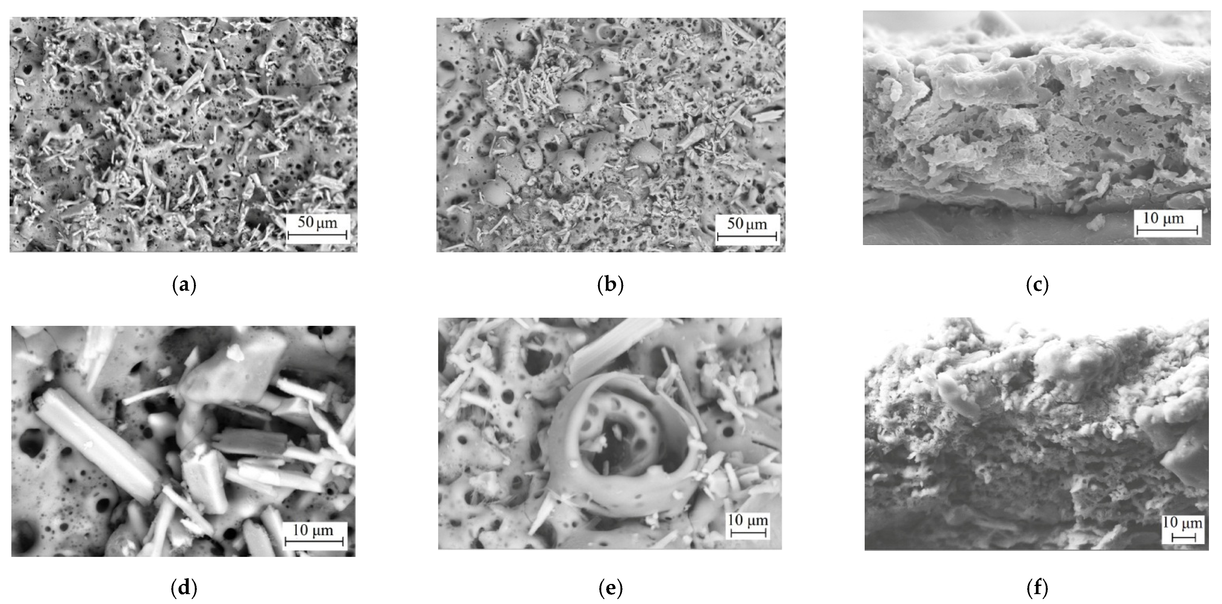 Metals 11 00754 g003