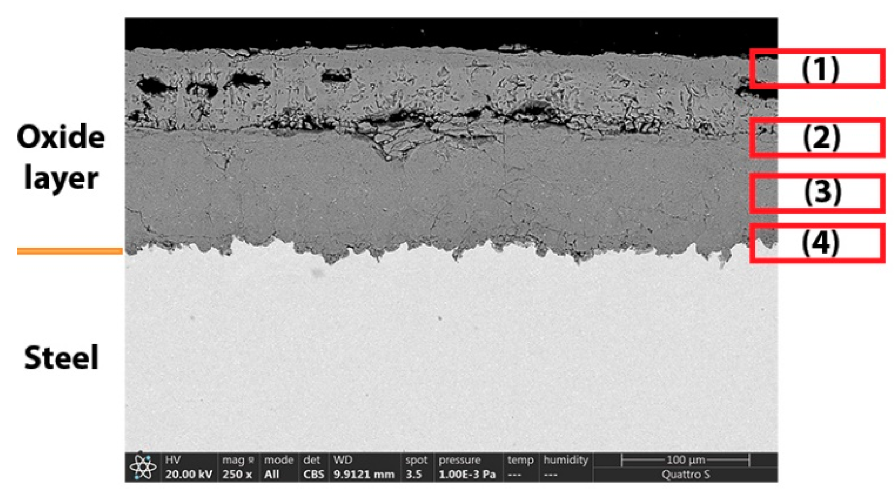 Metals 11 00758 g008