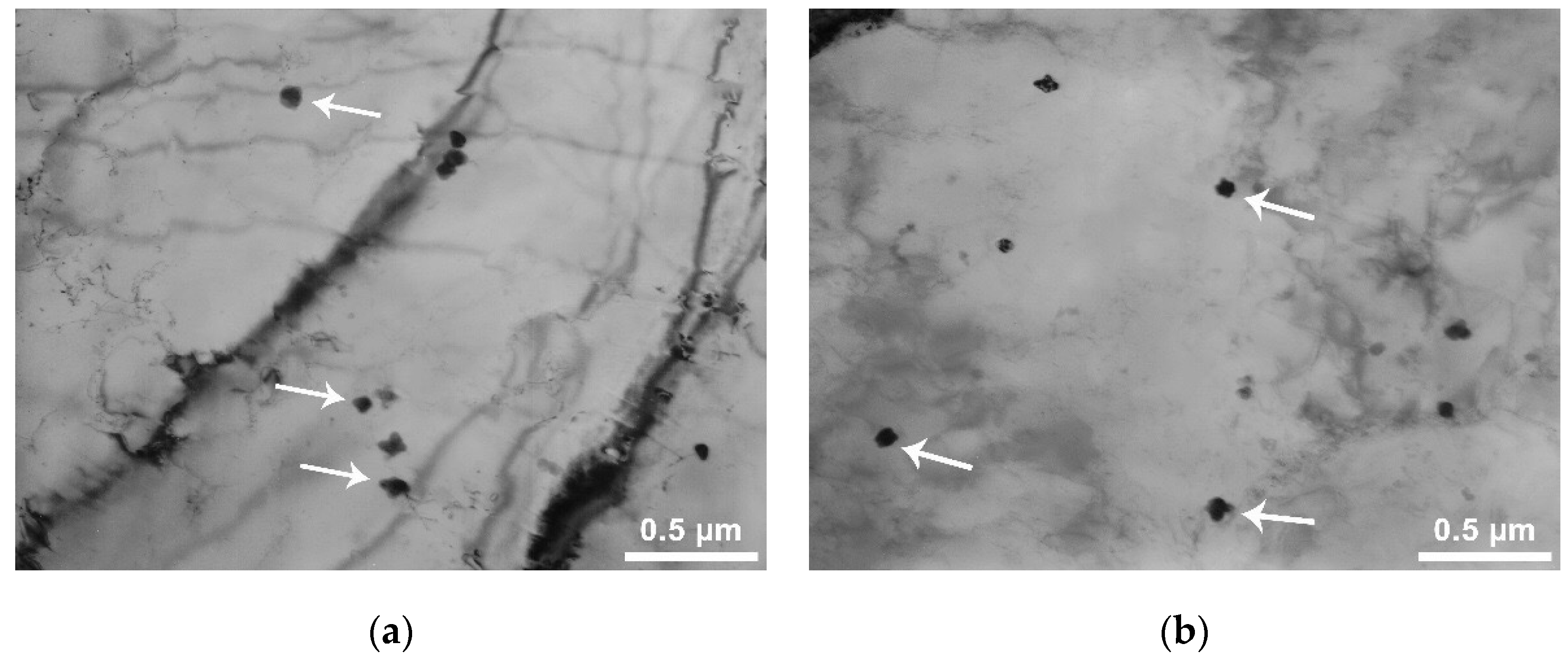 Metals 11 00766 g008