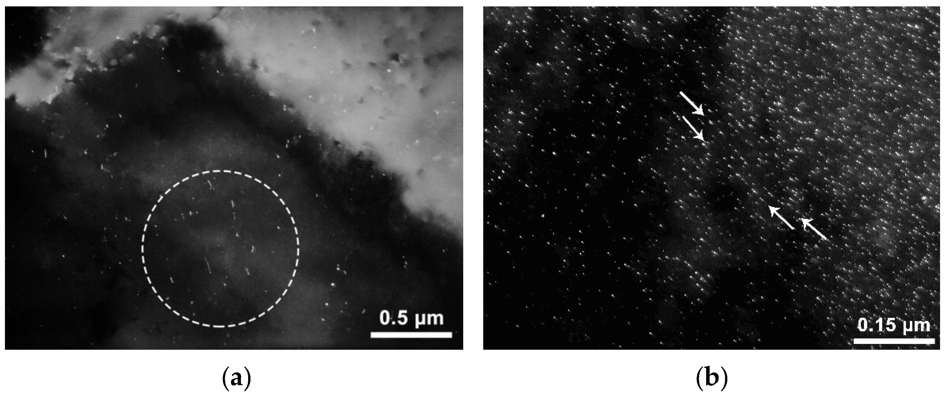 Metals 11 00766 g010