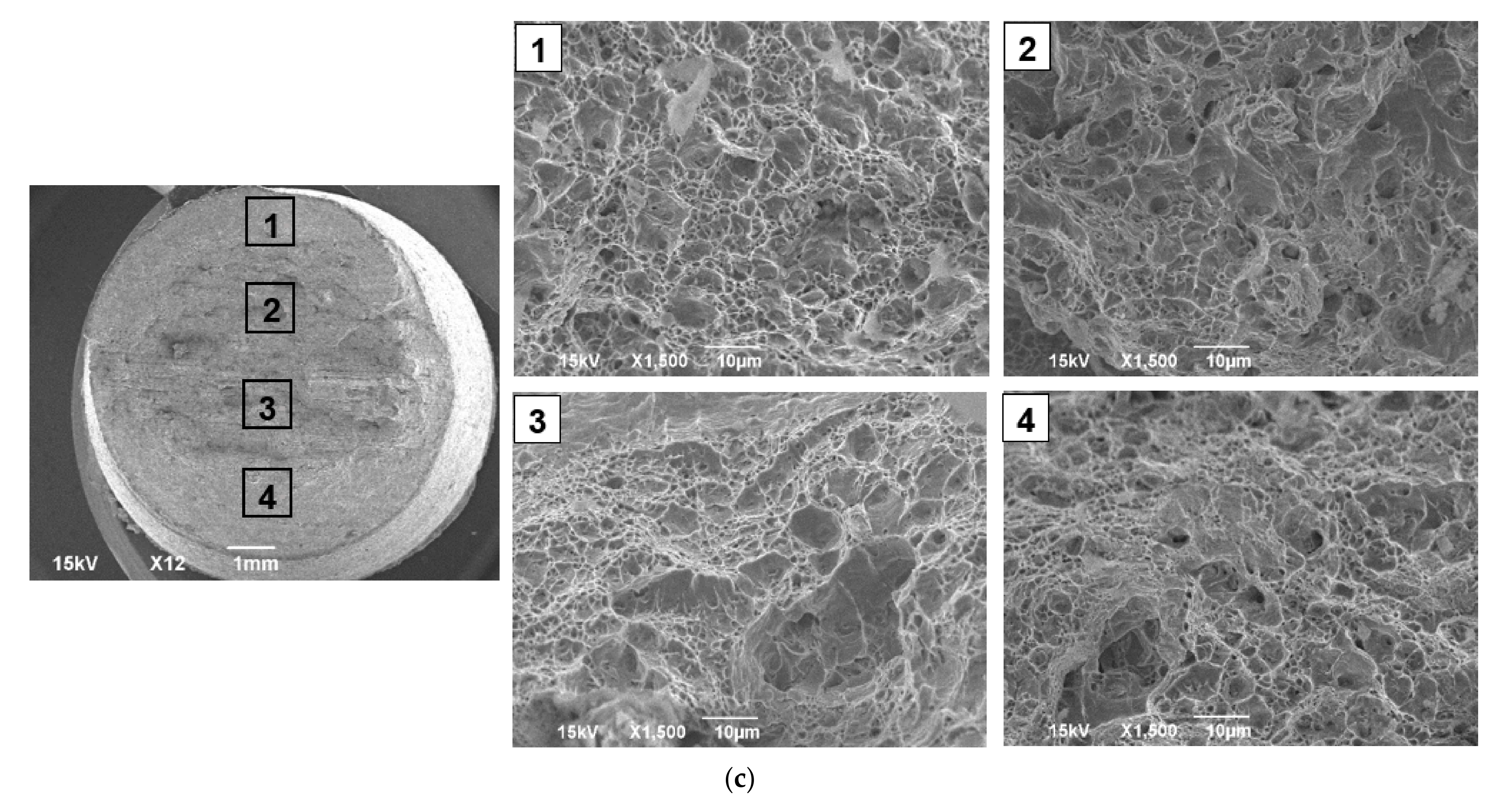 Metals 11 00767 g007b