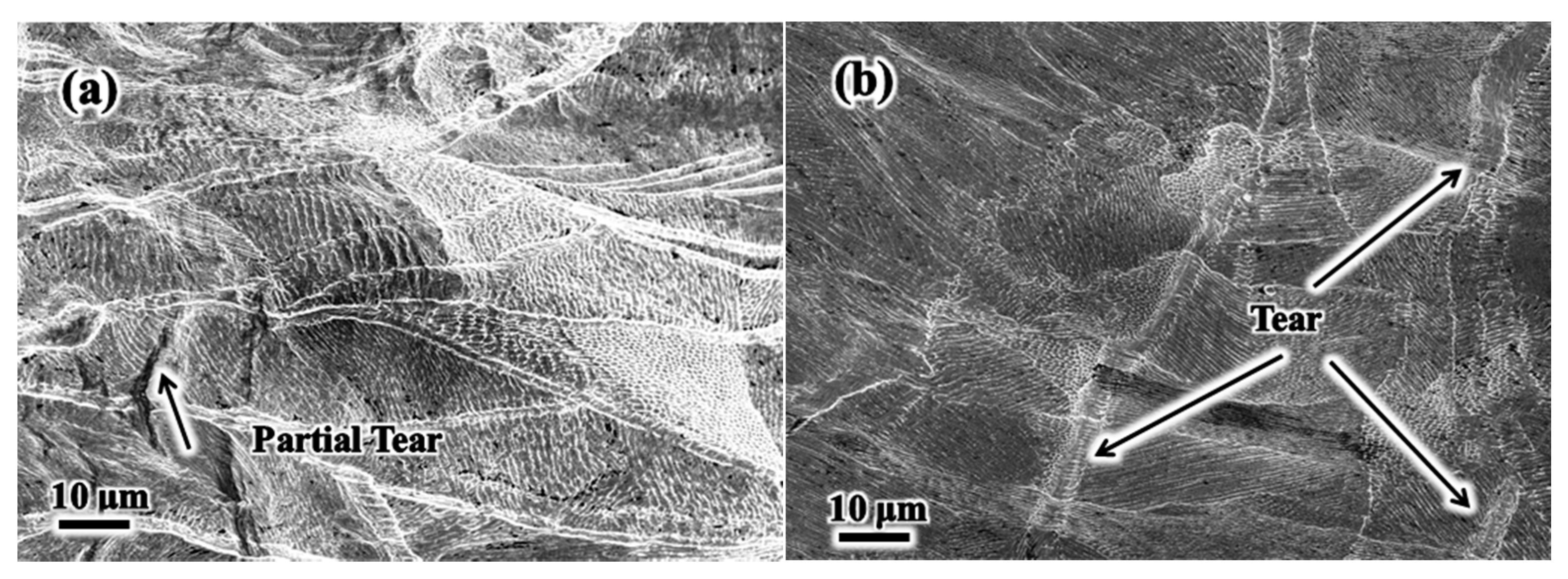 Metals 11 00775 g012 Metals 11 00775 g012