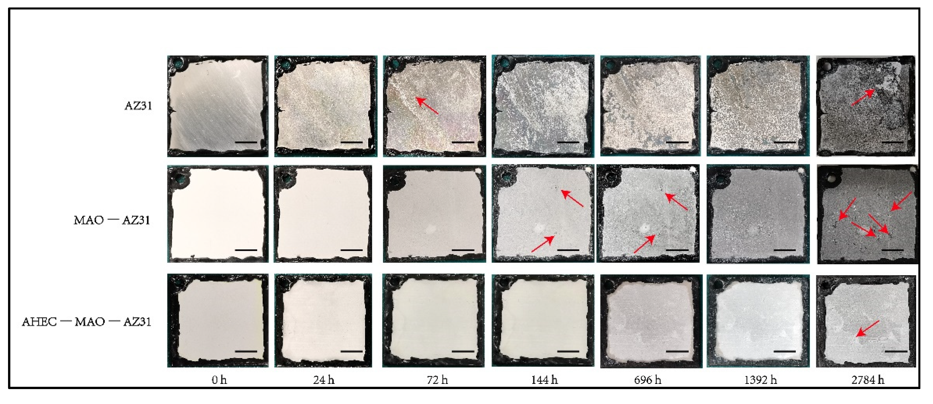 Metals 11 00784 g008