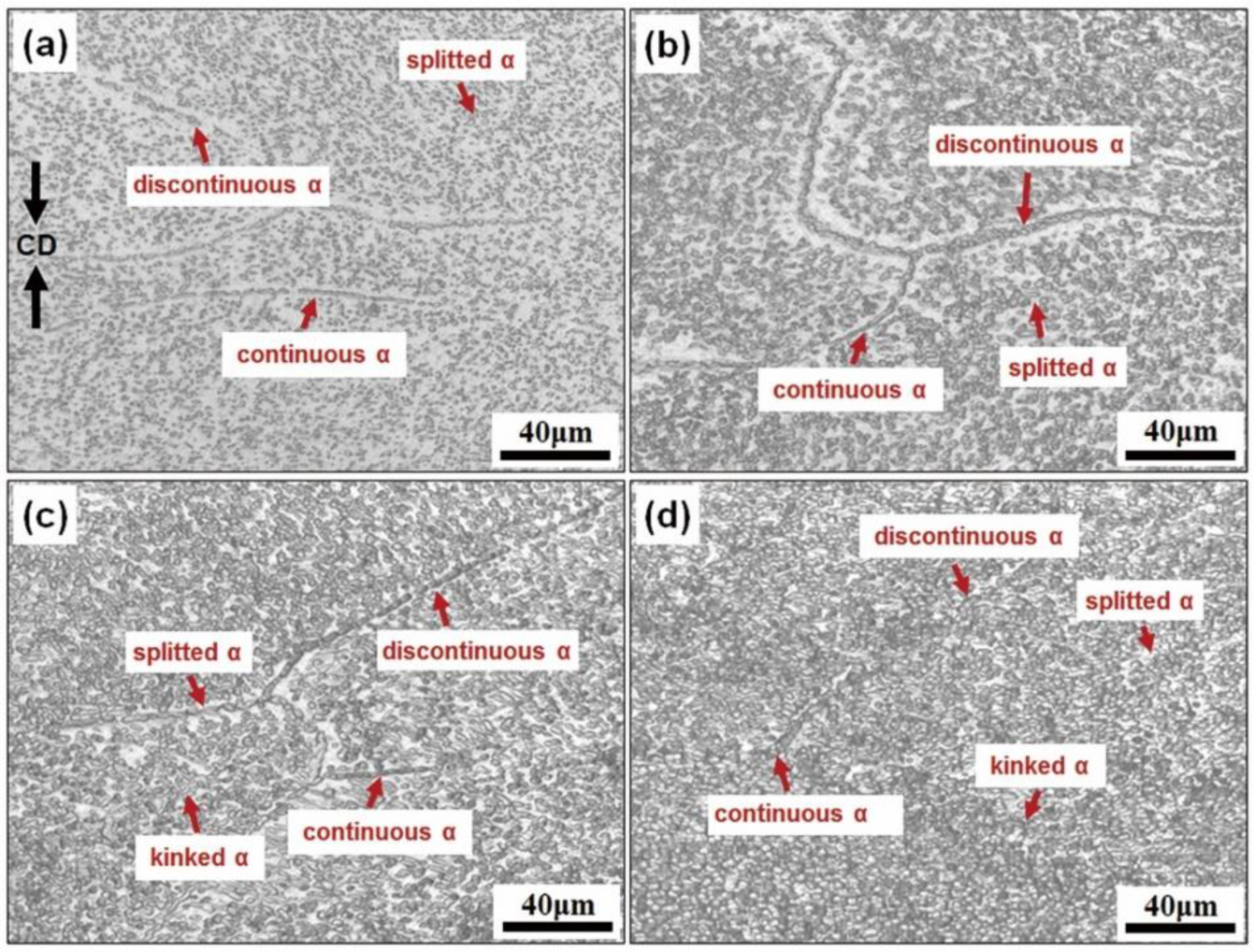 Metals 11 00789 g004