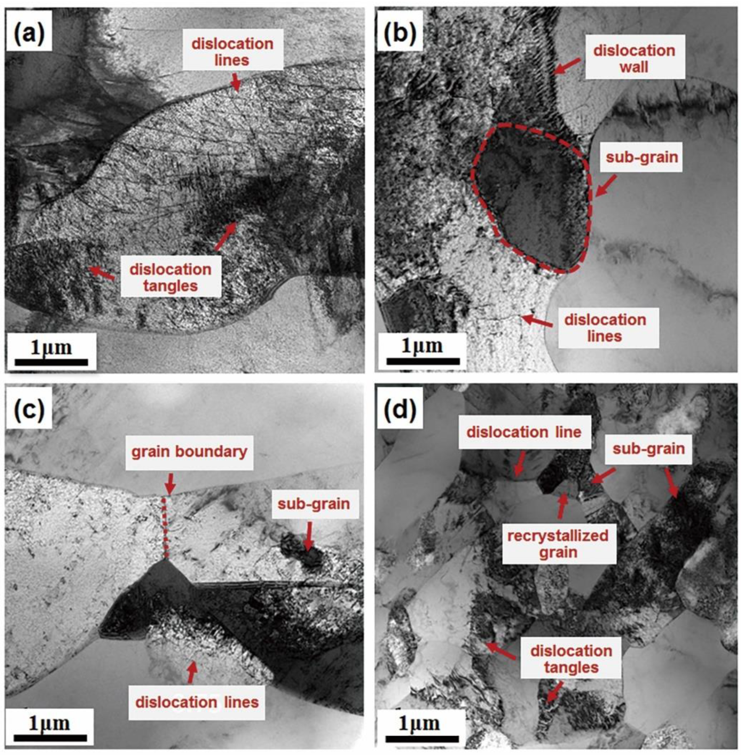 Metals 11 00789 g007