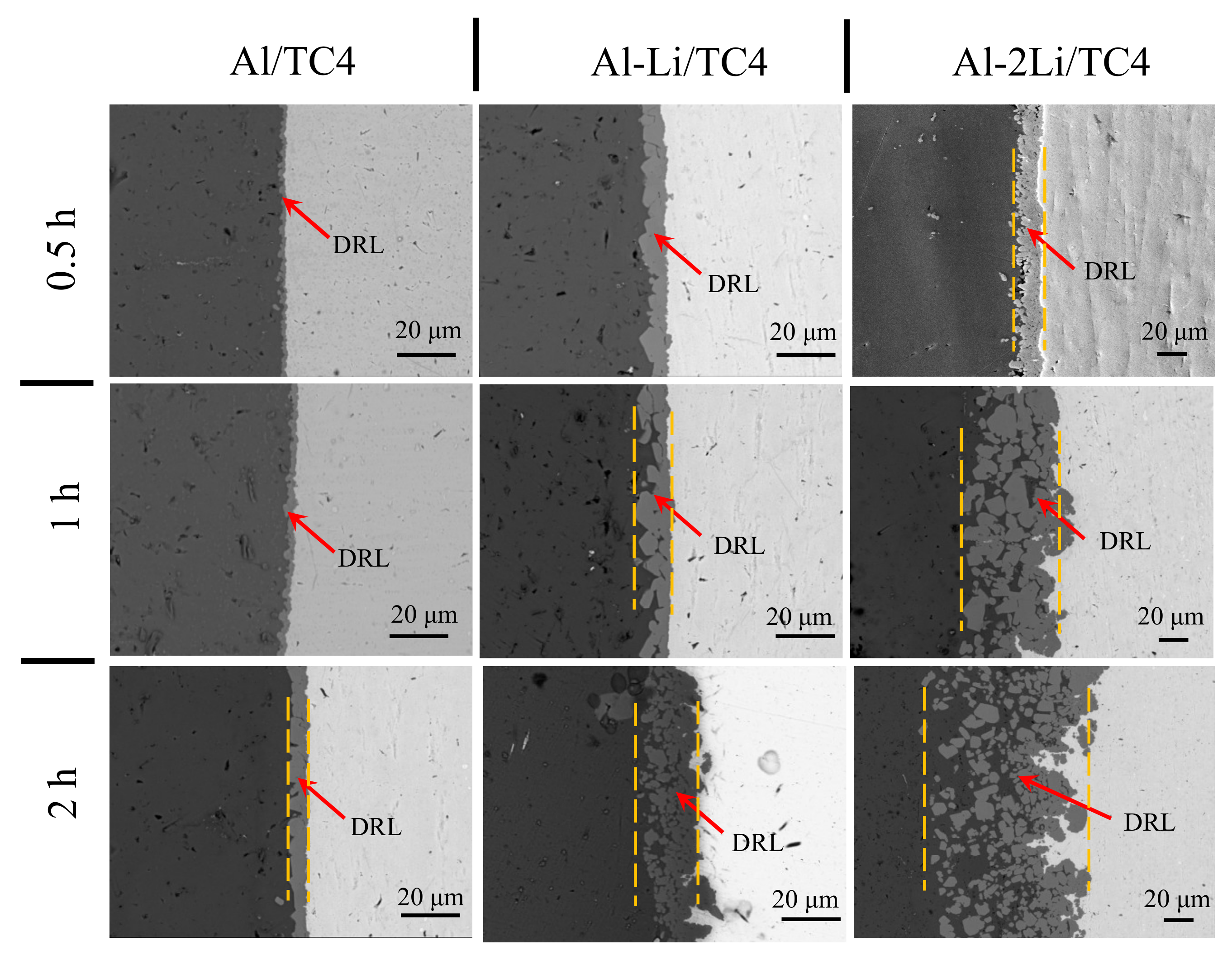 Metals 11 00794 g004