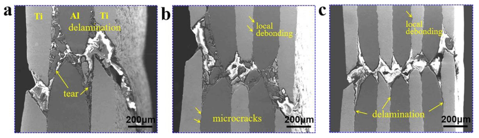 Metals 11 00795 g009