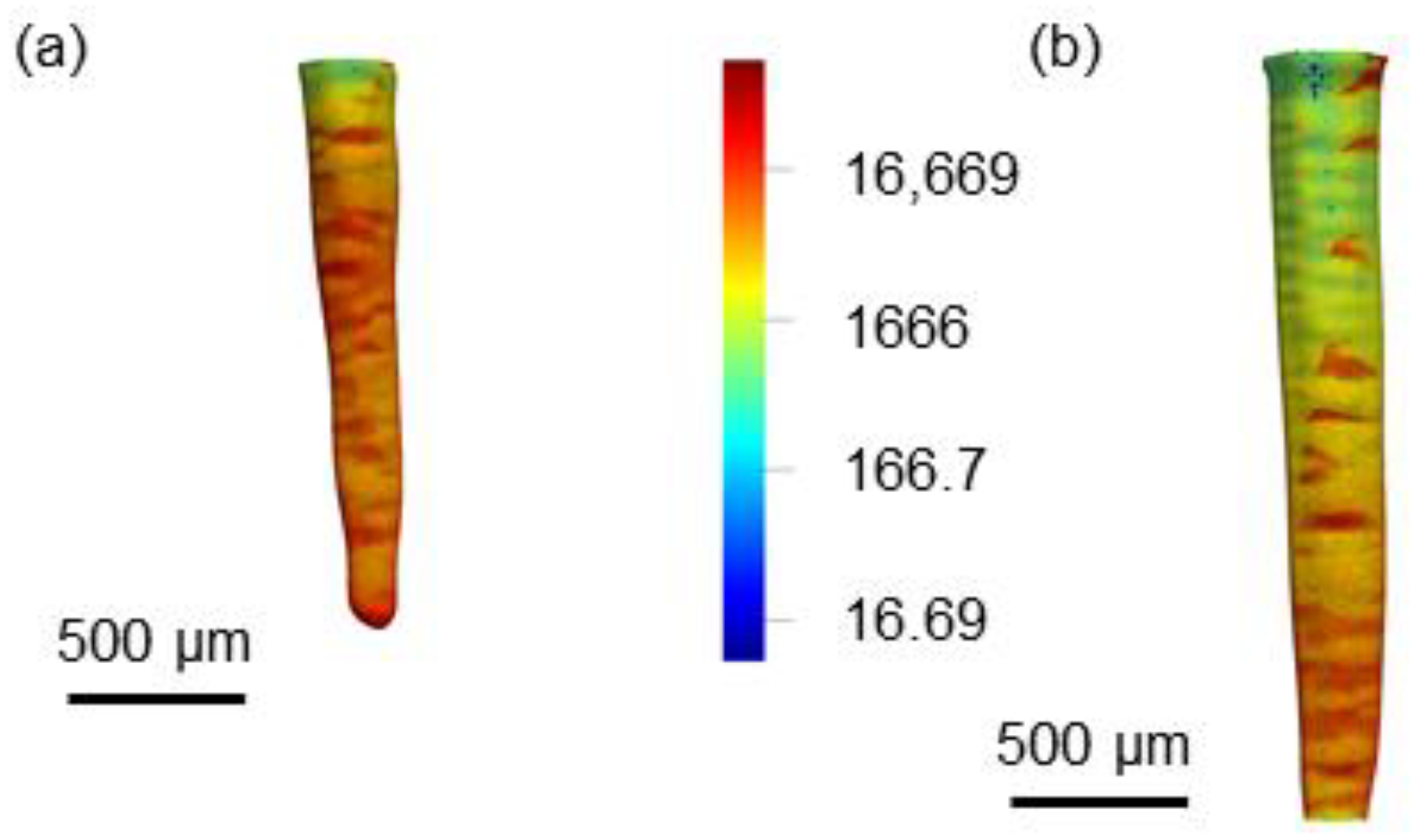 Metals 11 00797 g004