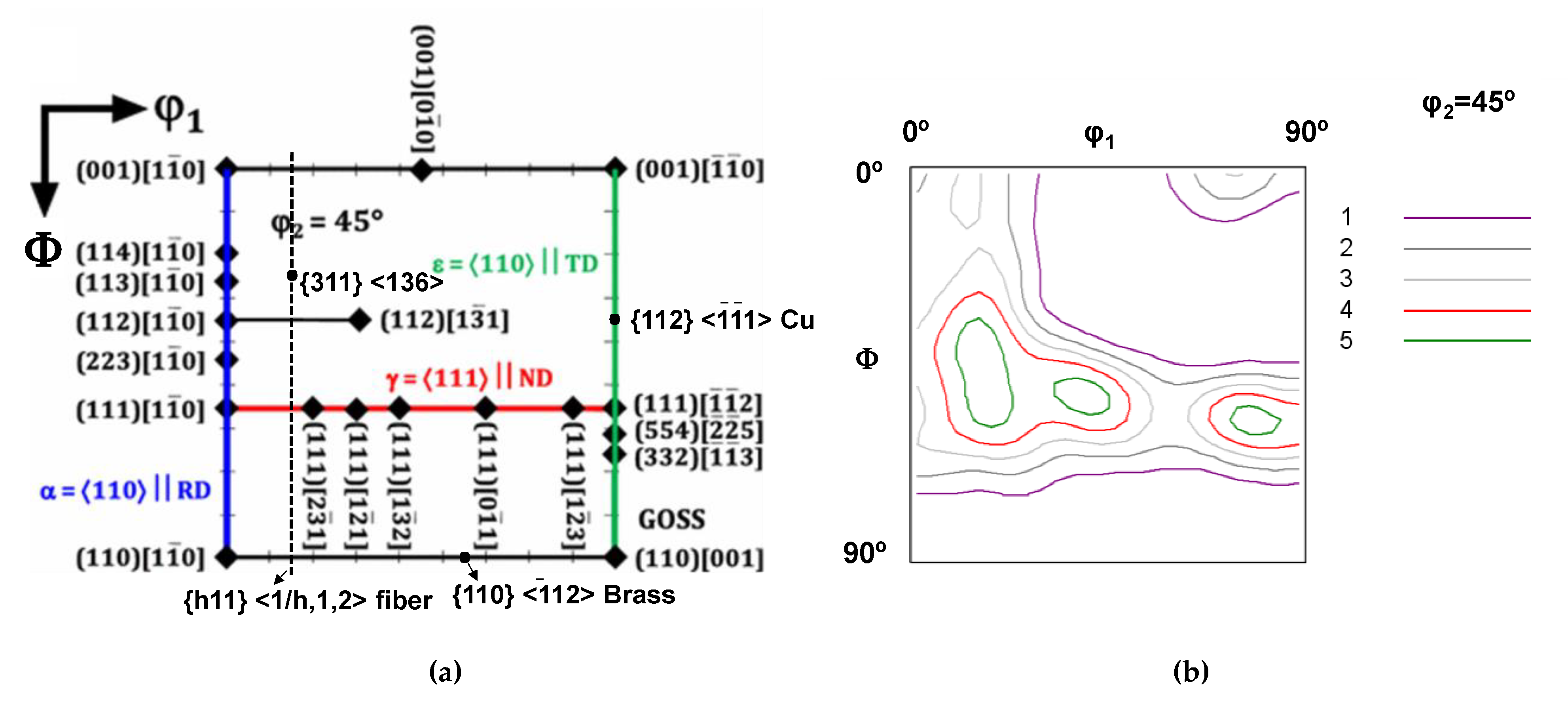 Metals 11 00806 g001