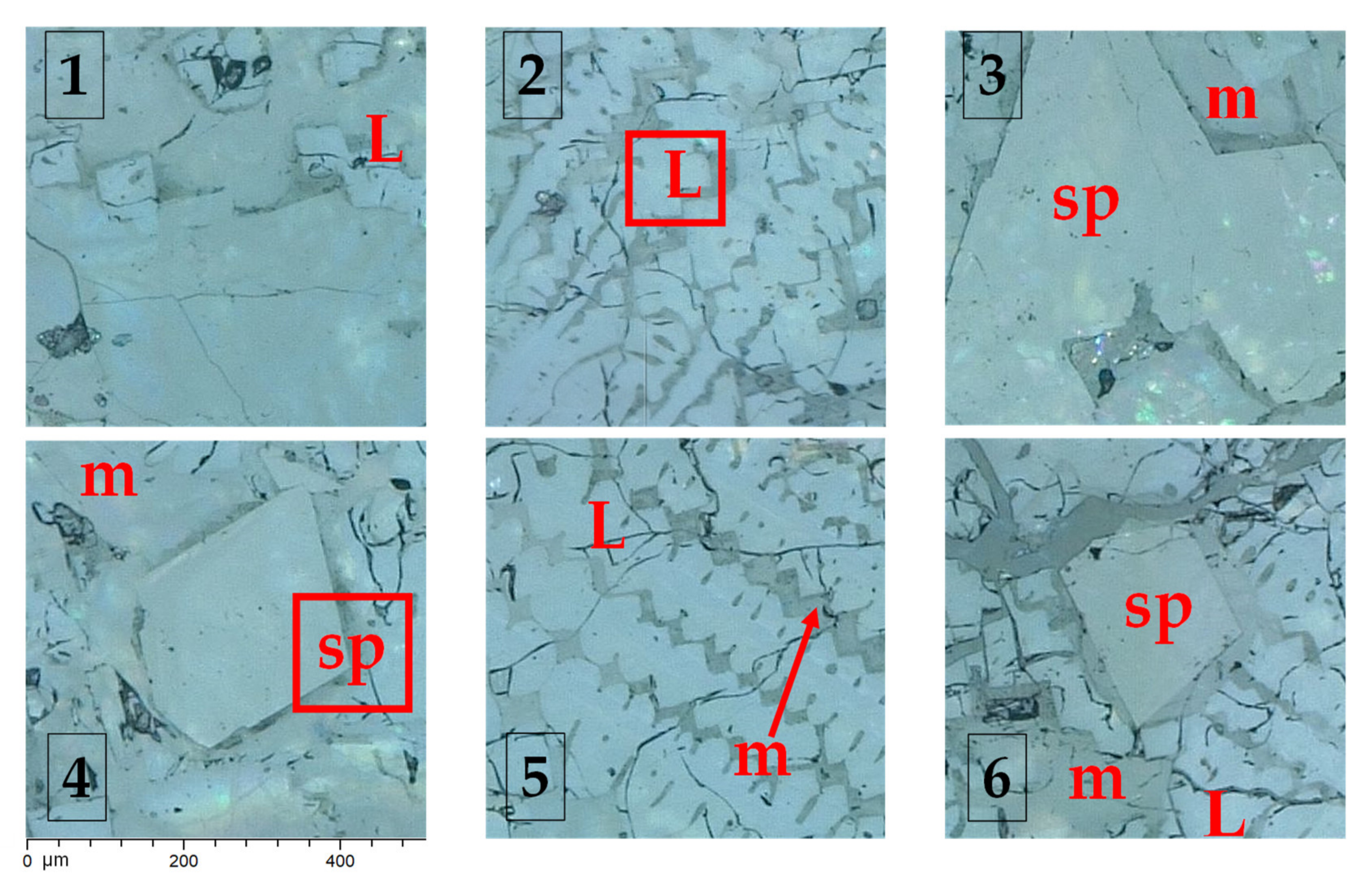 Metals 11 00825 g001