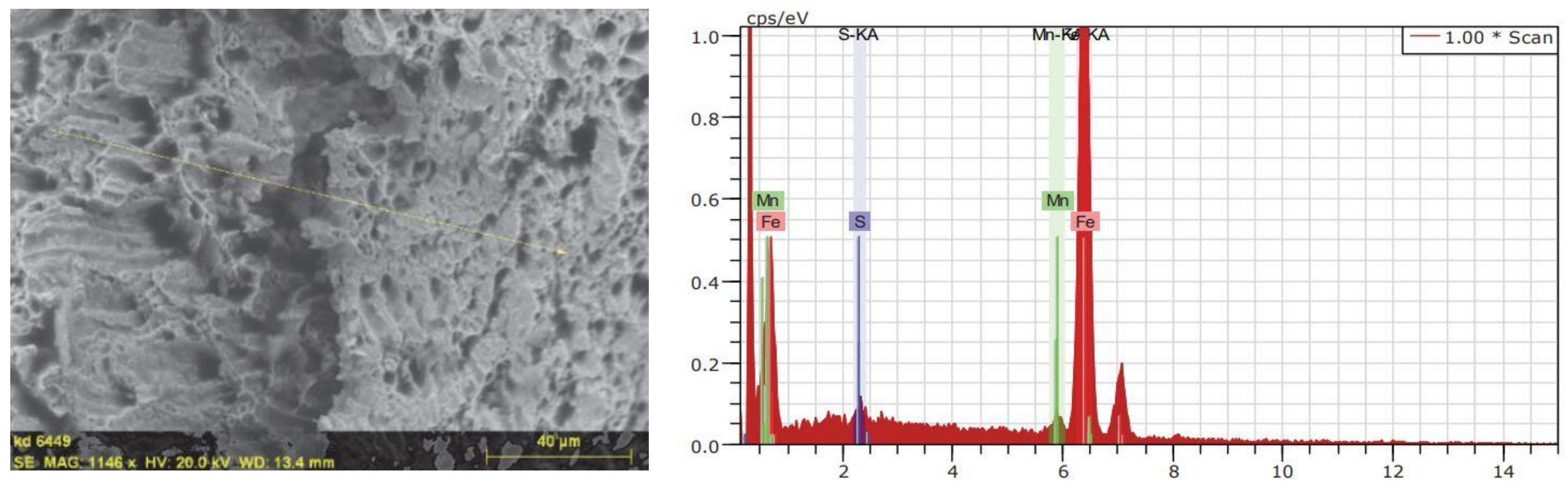 Metals 11 00834 g007