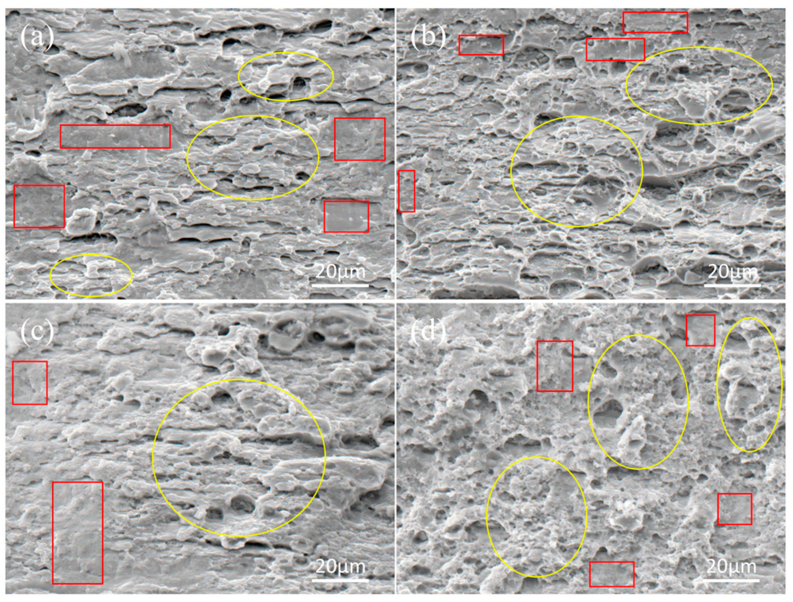 Metals 11 00853 g010