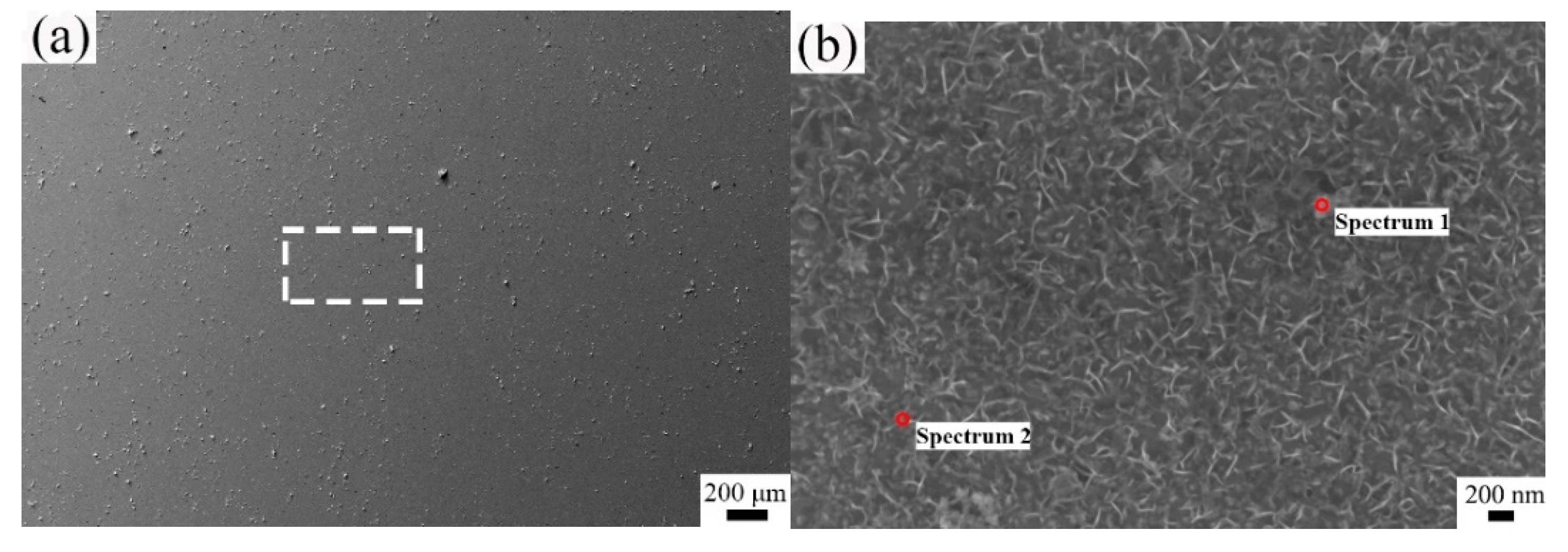 Metals 11 00880 g004