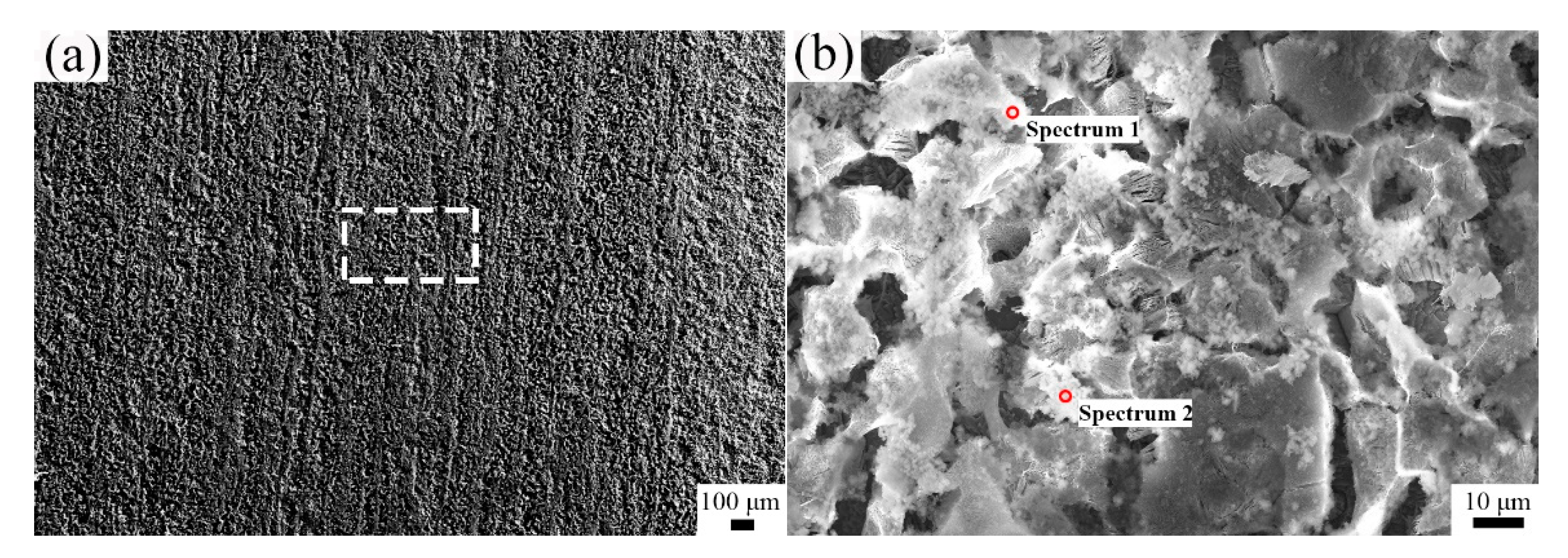 Metals 11 00880 g008