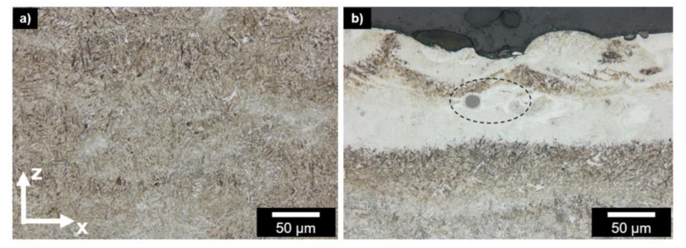 Metals 11 00896 g004