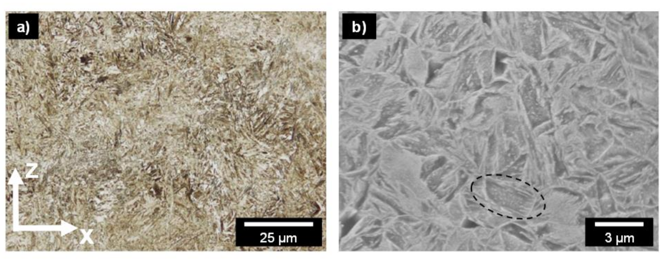 Metals 11 00896 g007