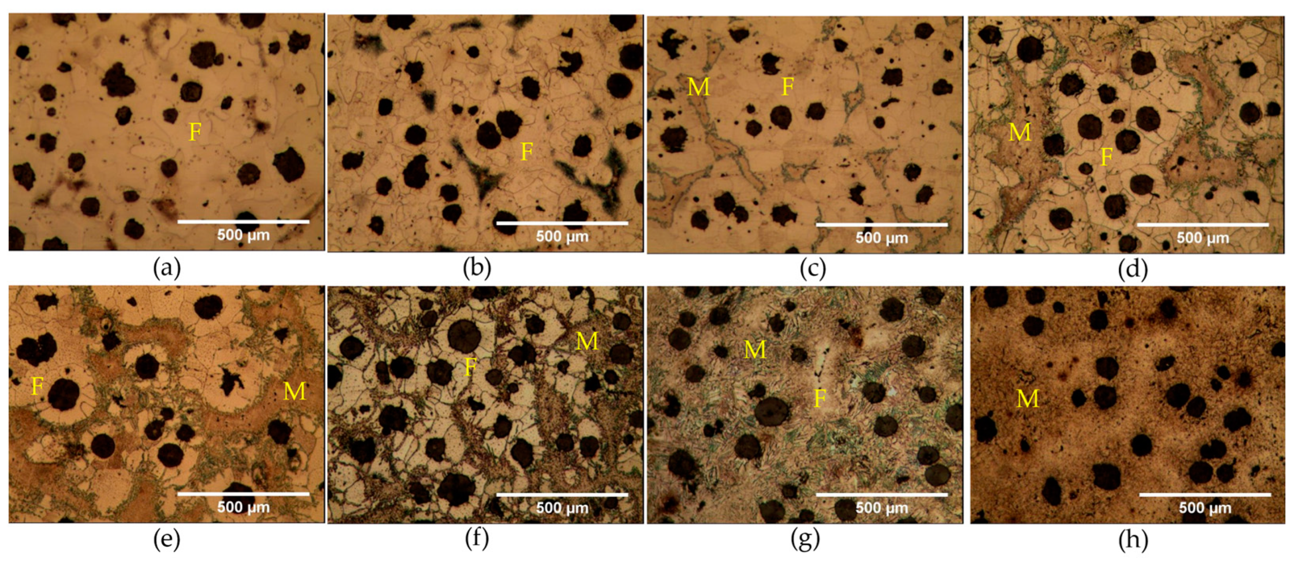 Metals 11 00897 g007 Metals 11 00897 g007