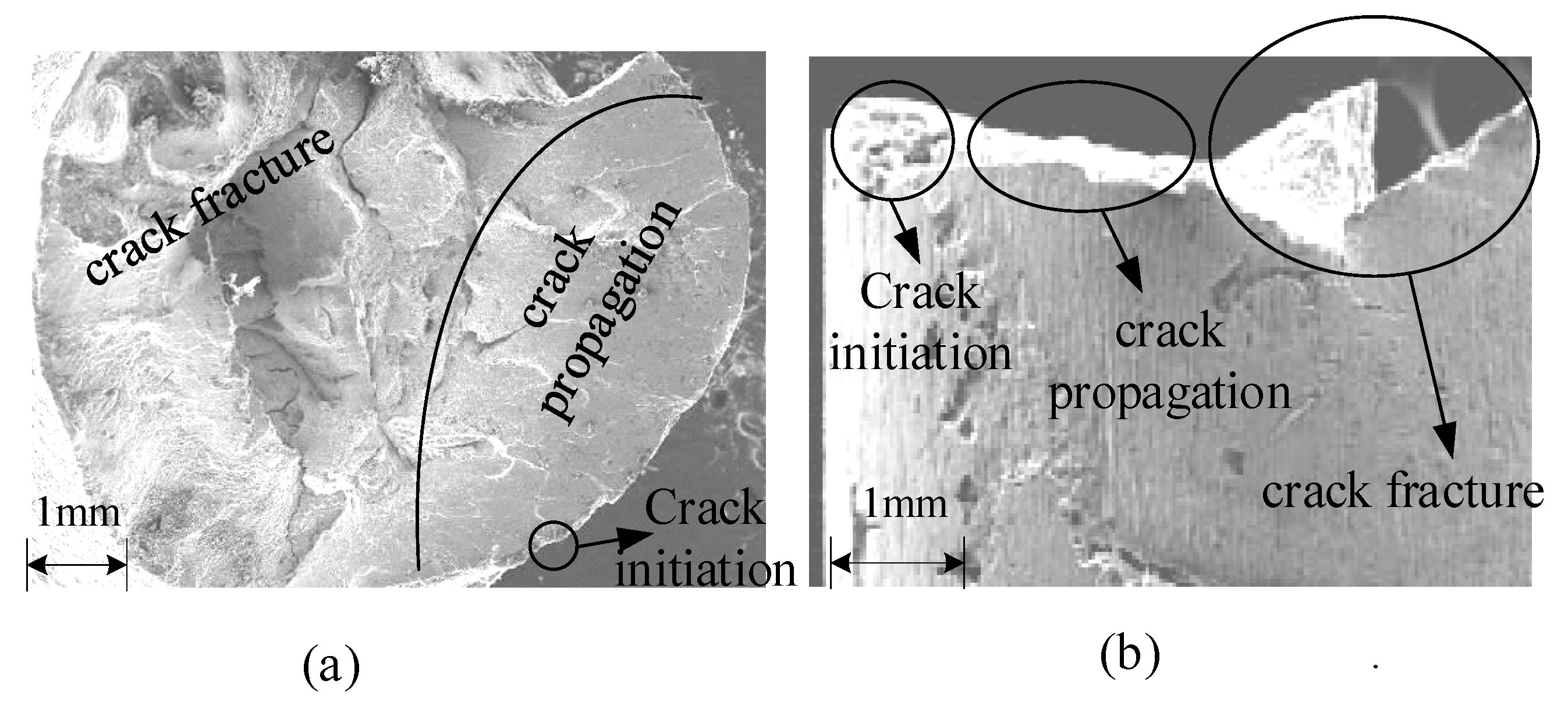 Metals 11 00910 g006 550