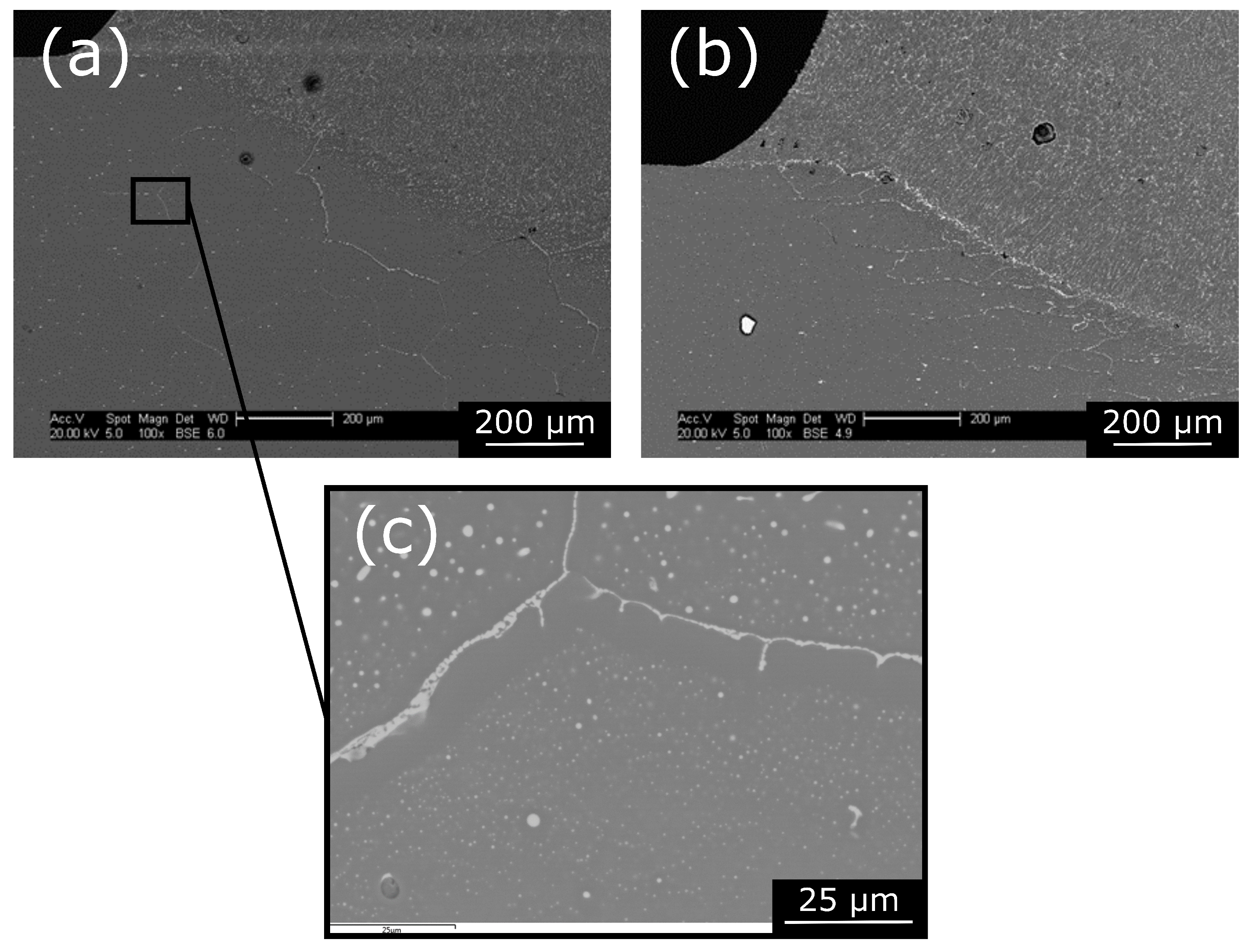 Metals 11 00916 g005