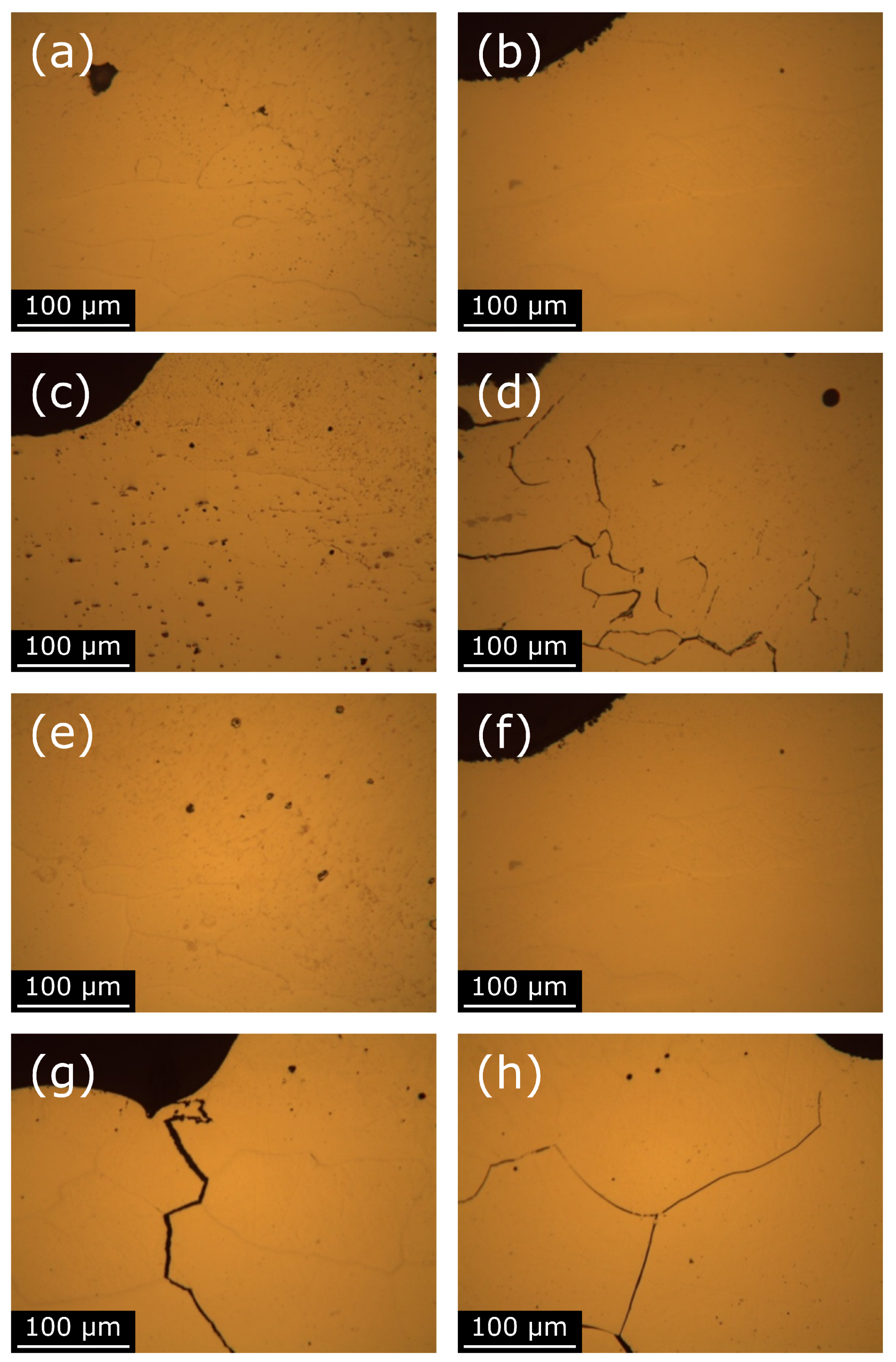 Metals 11 00916 g007