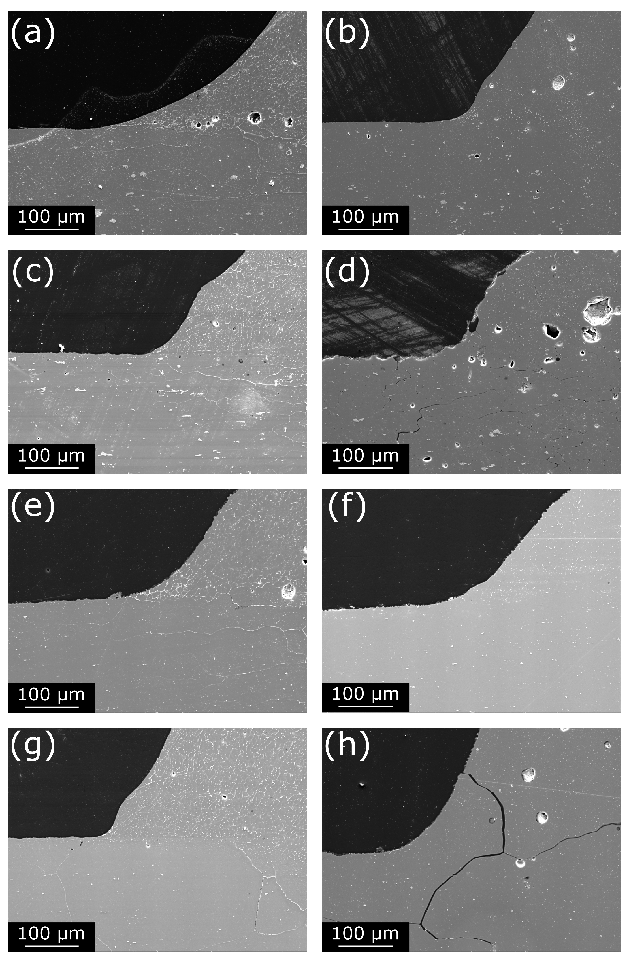 Metals 11 00916 g008