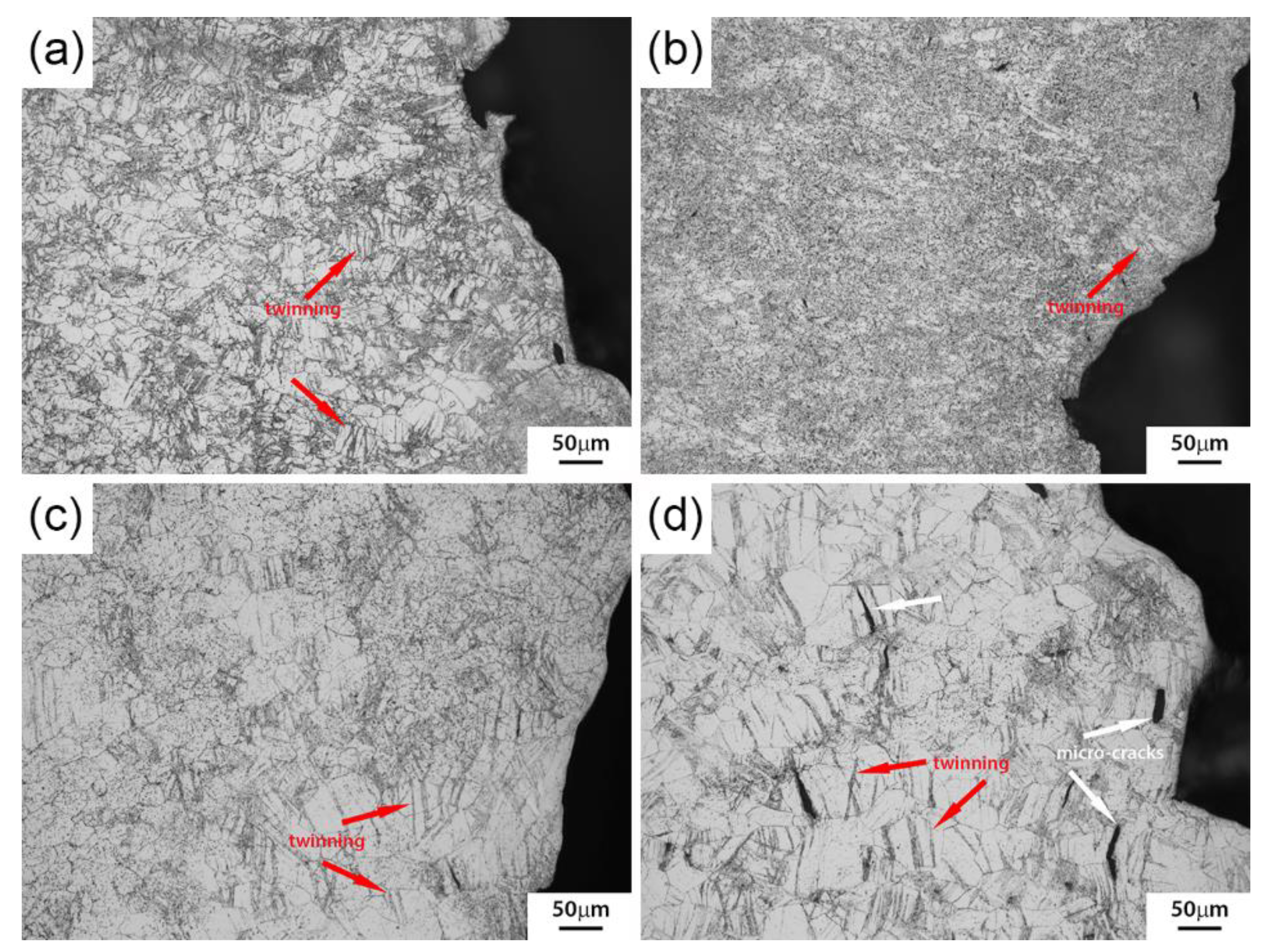 Metals 11 00926 g011