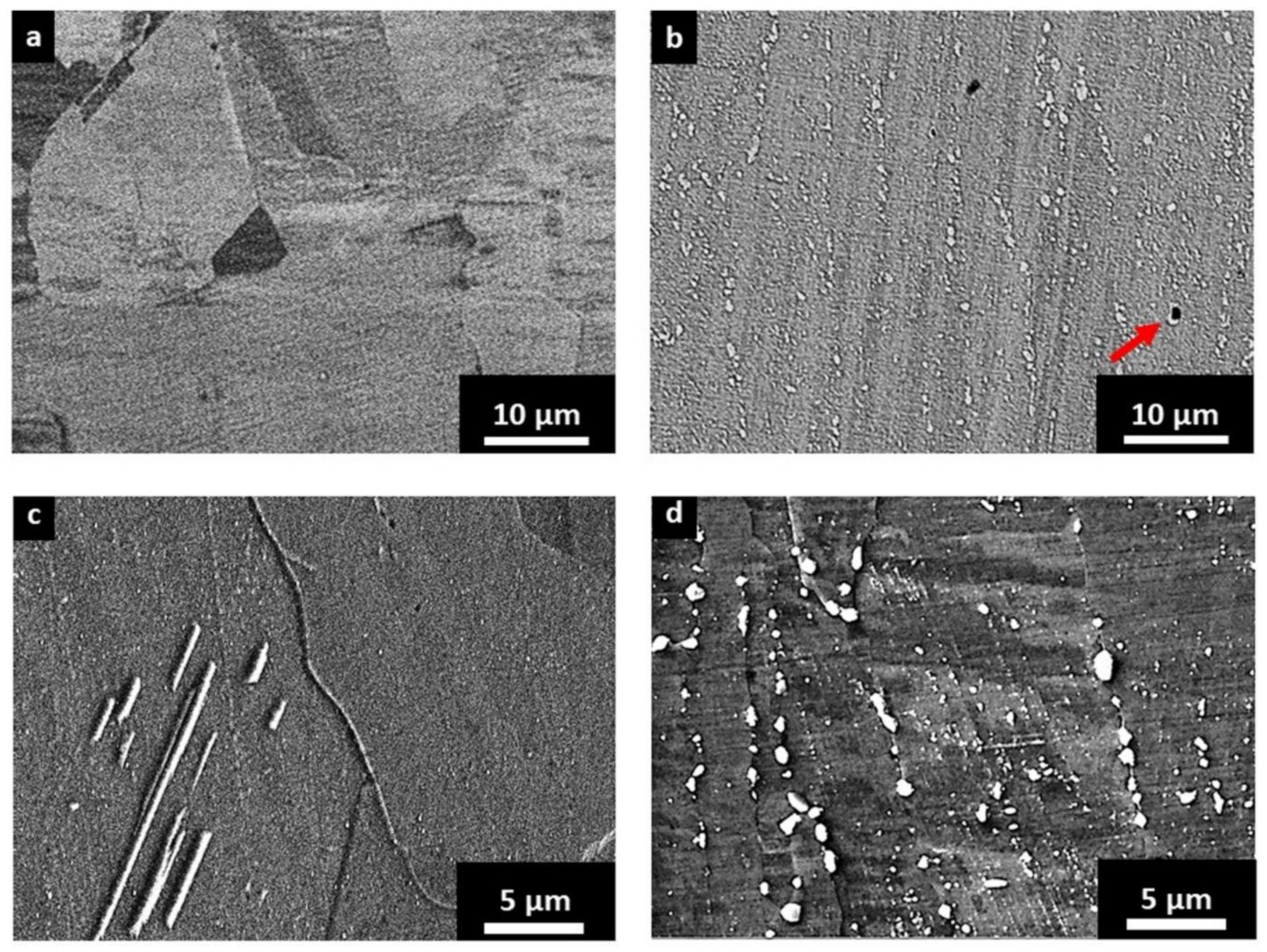 Metals 11 00929 g007