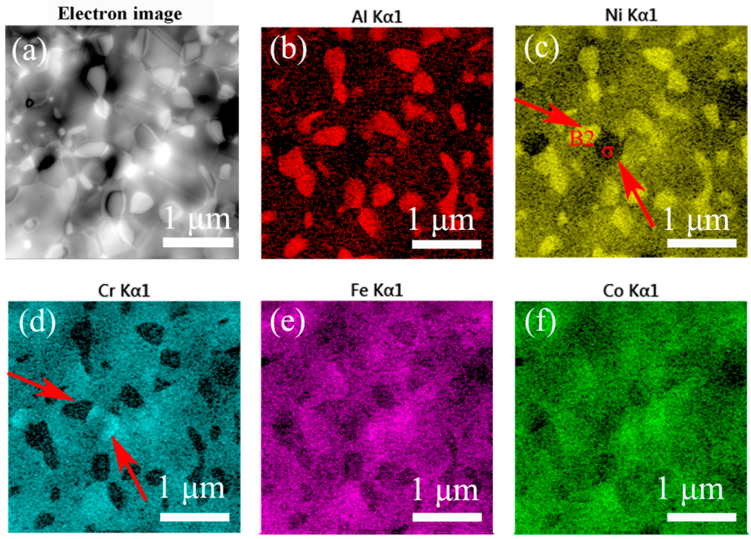 Metals 11 00940 g006