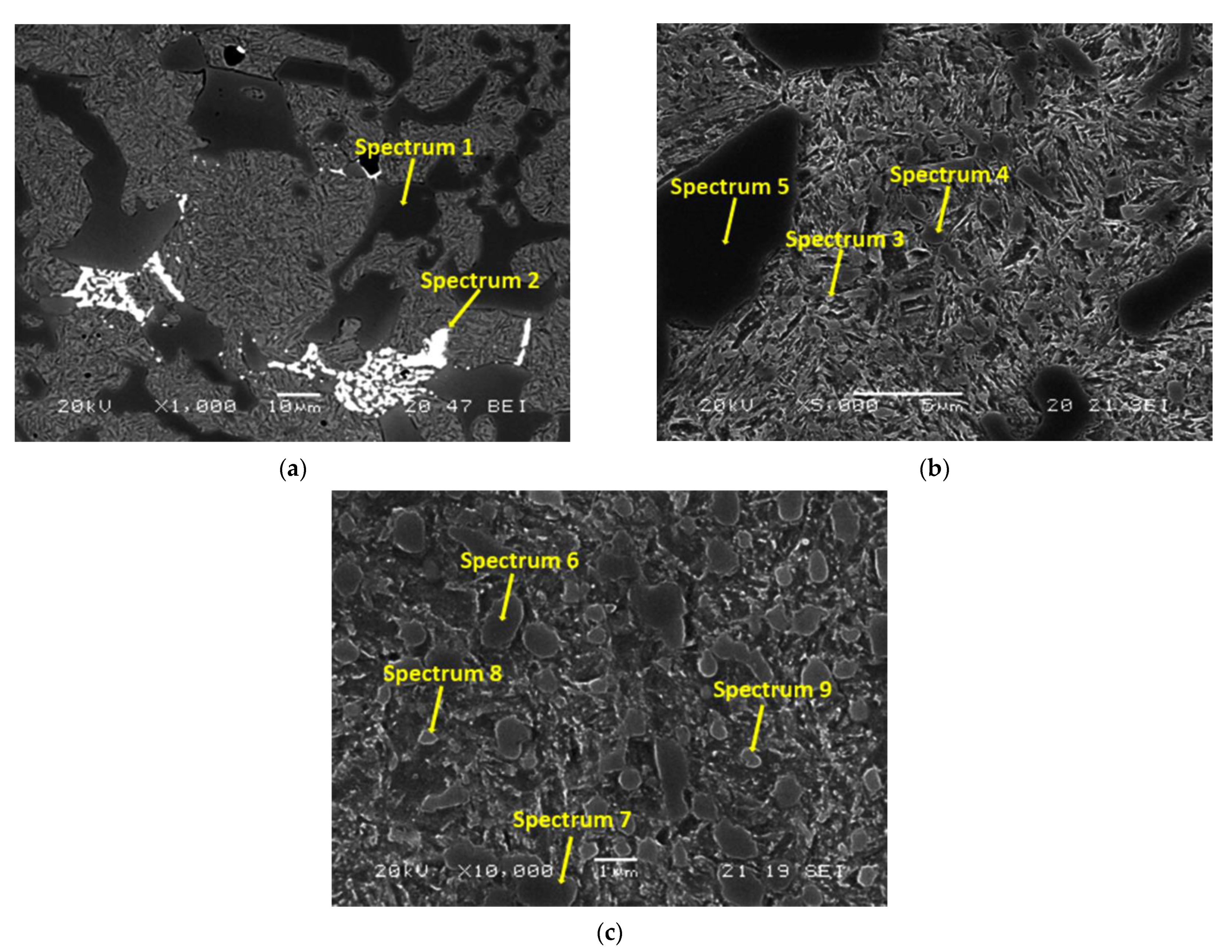 Metals 11 00947 g002