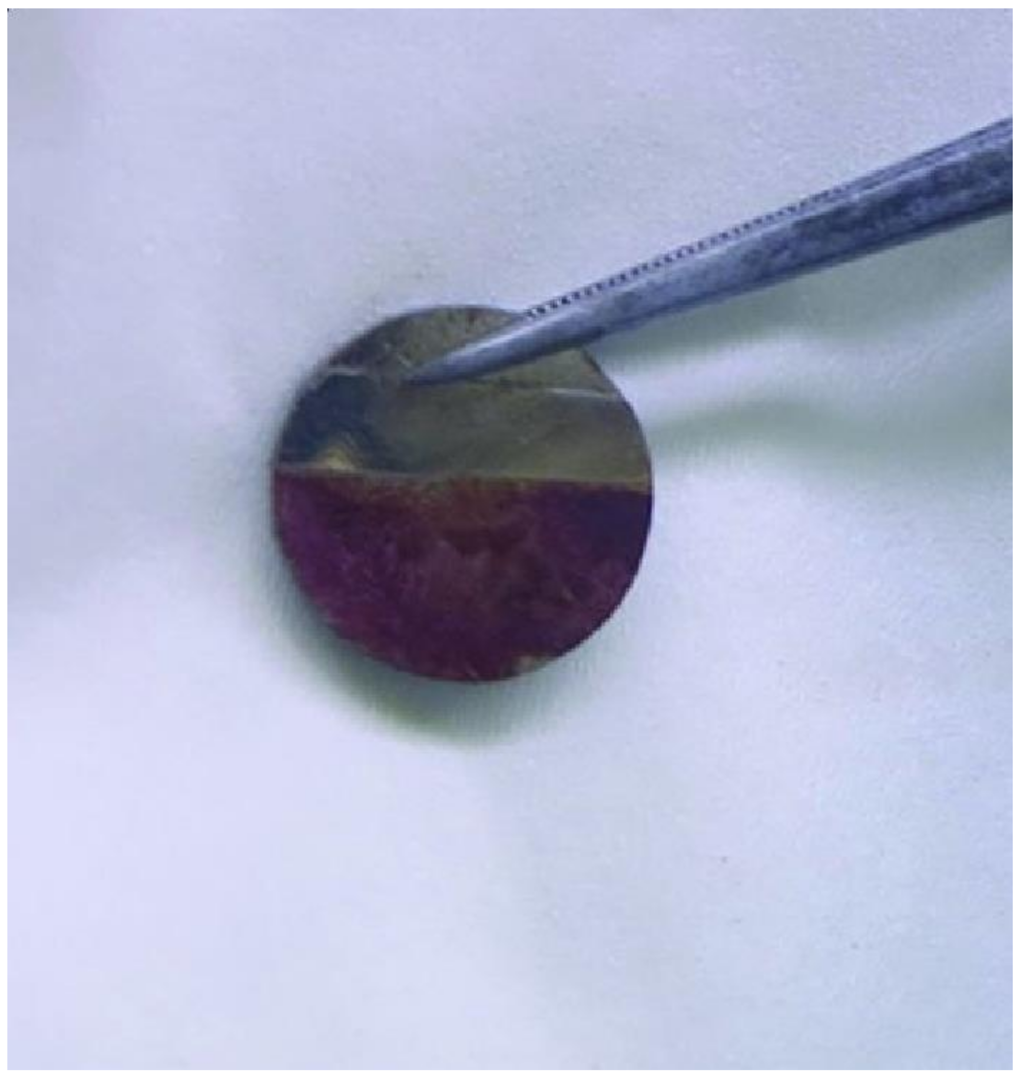 Metals 11 00959 g012