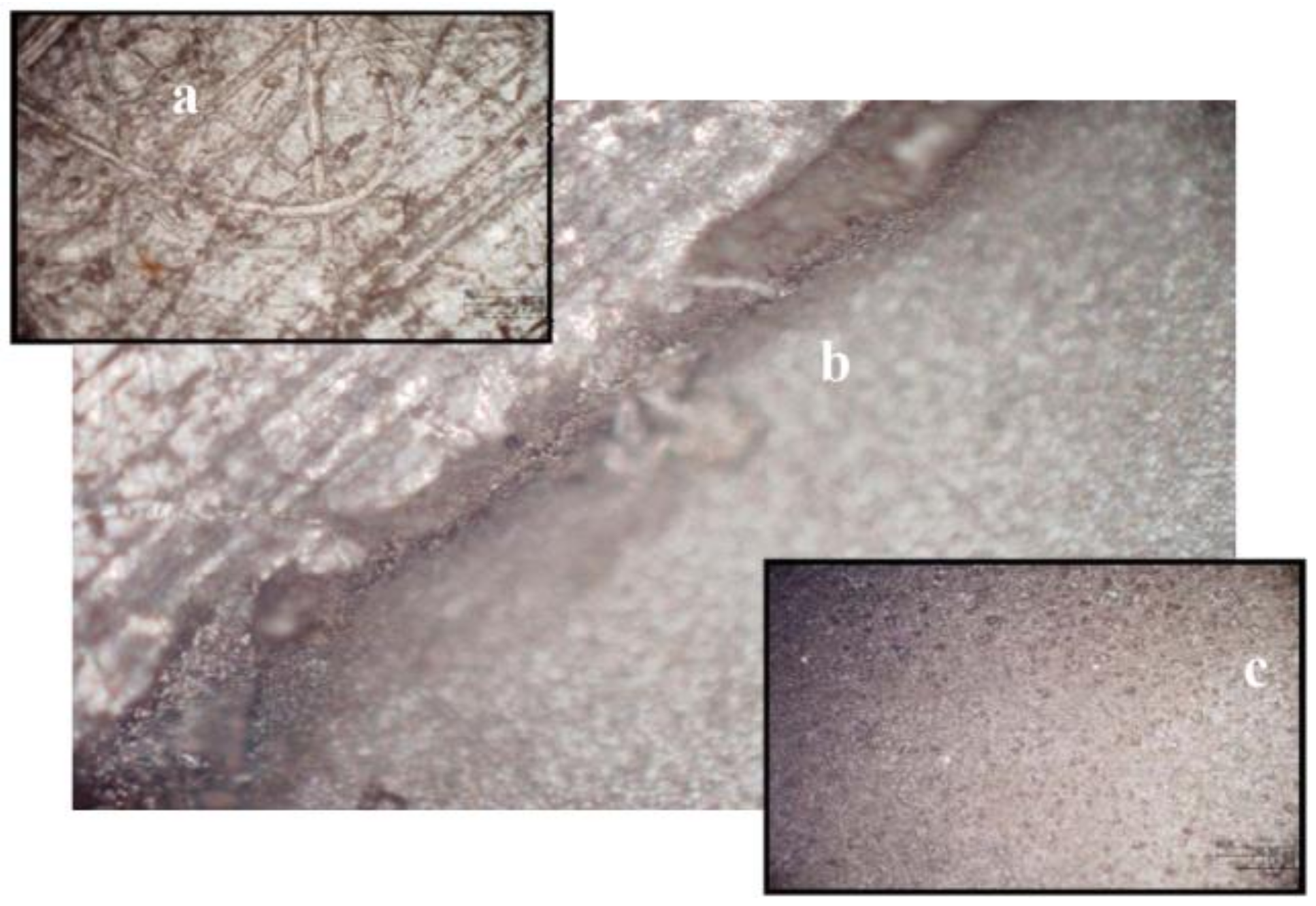 Metals 11 00959 g016