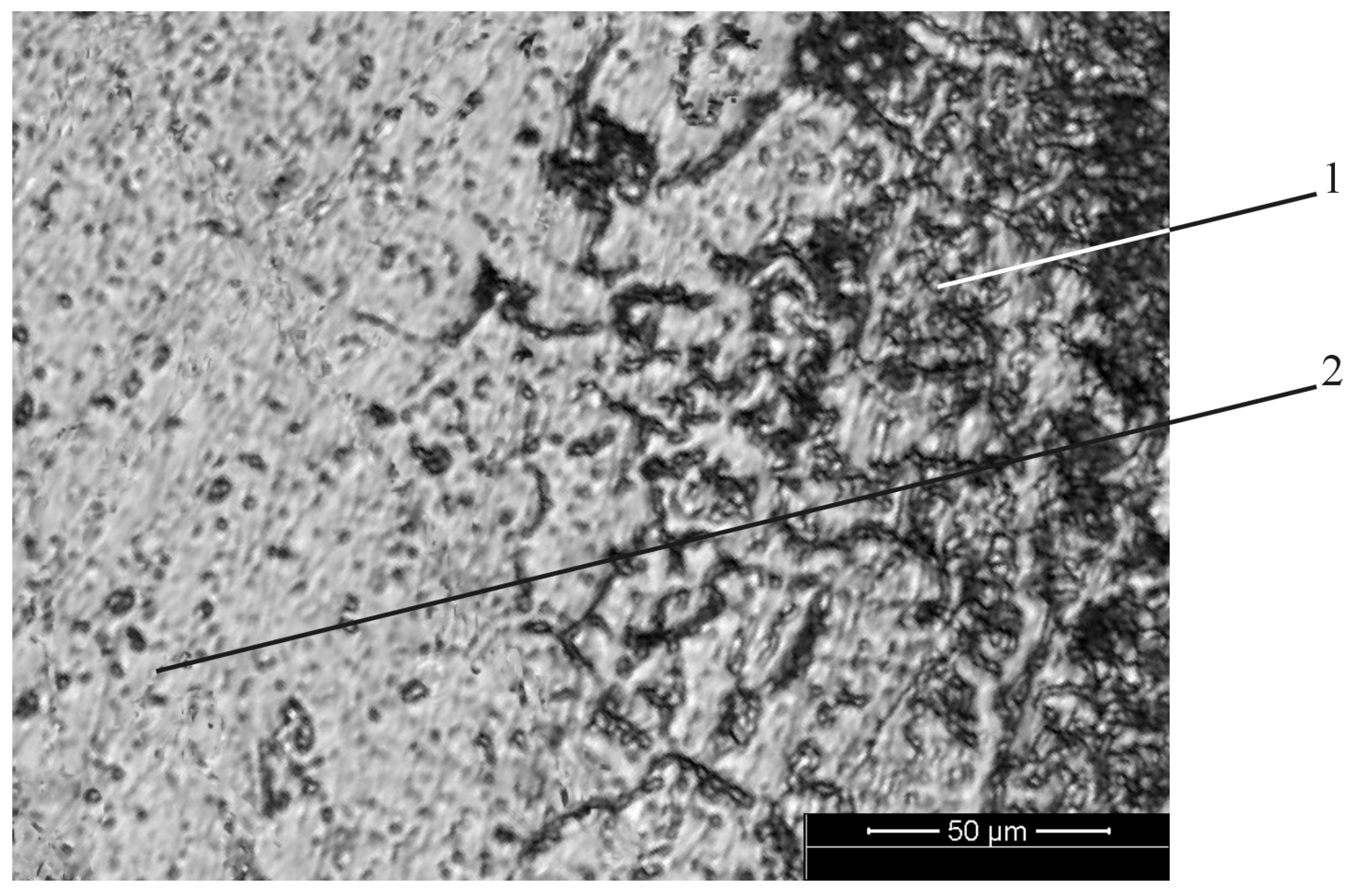 Metals 11 00963 g005